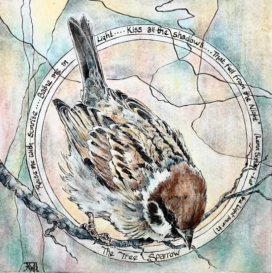 The Tree Sparrow