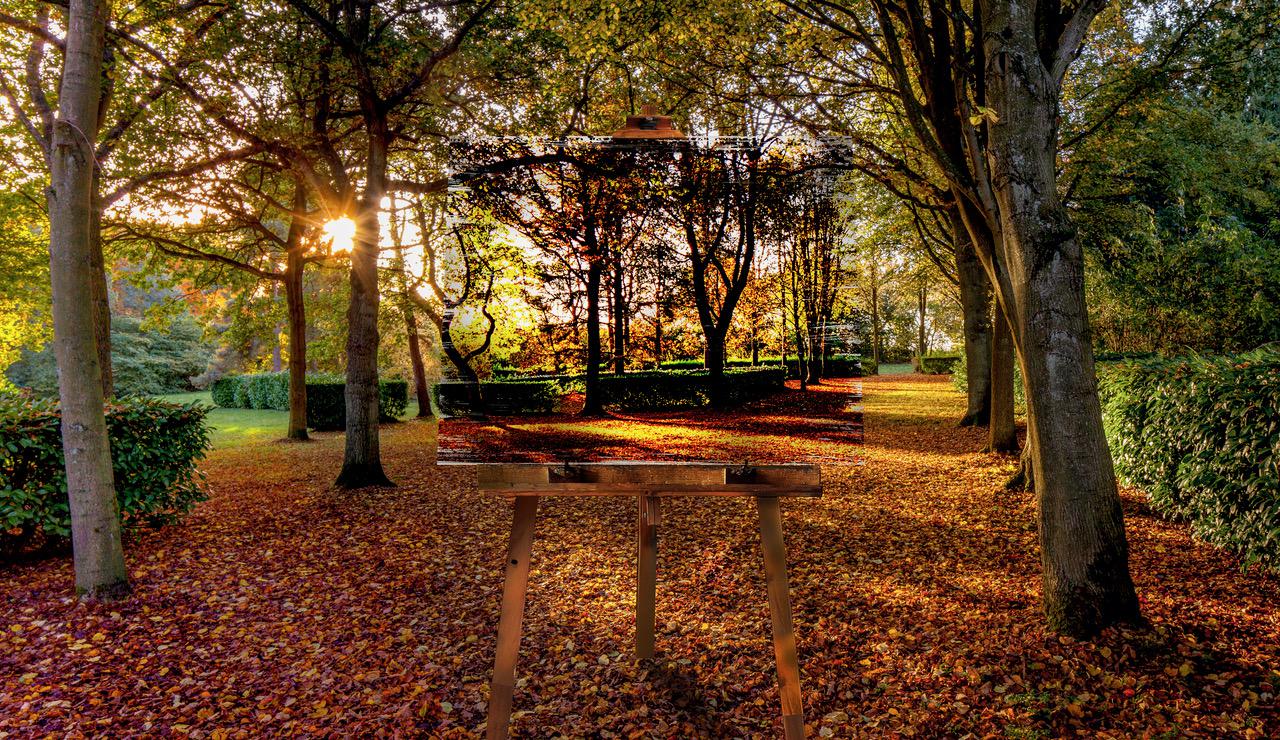 Autumn at the Tree Cathedral