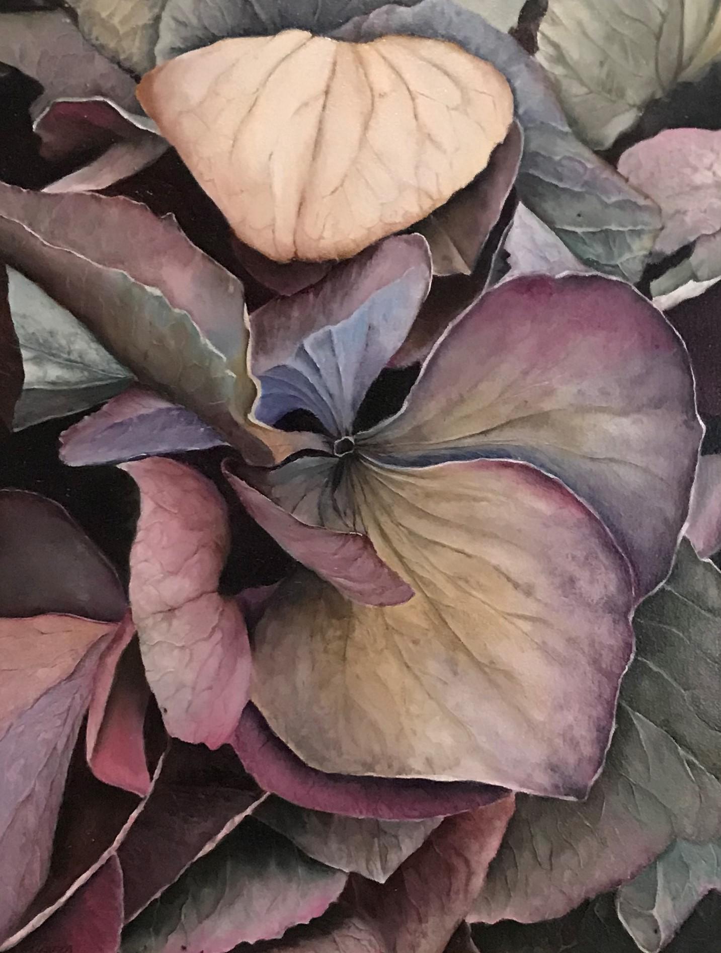 Hydrangea Leaves