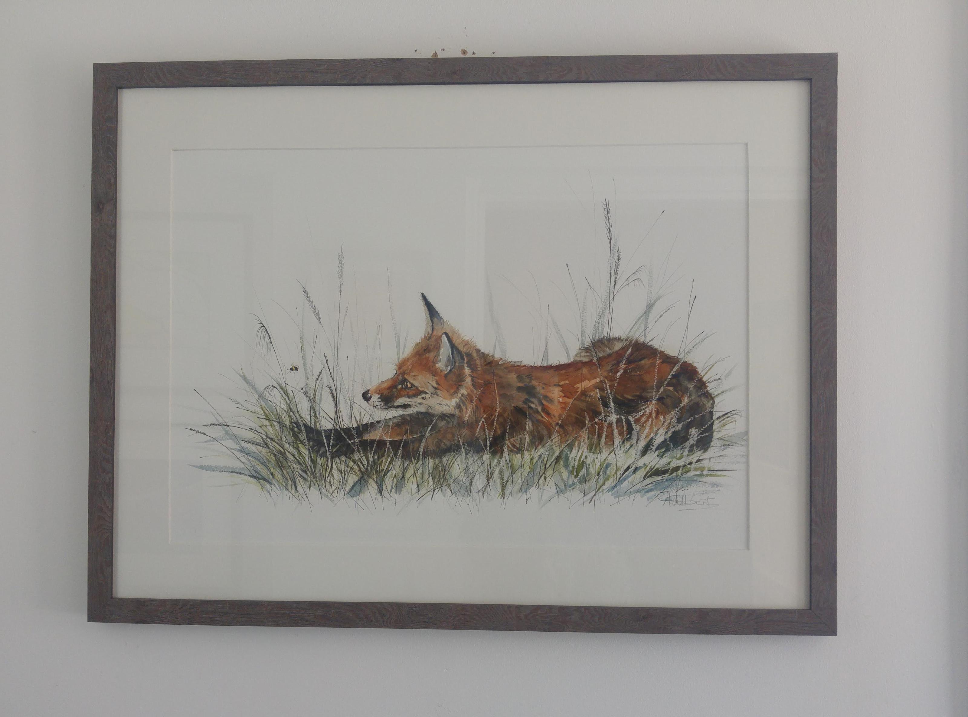 Fox Stretching in Meadow