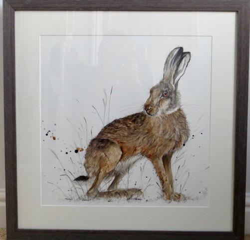 Harry Hare