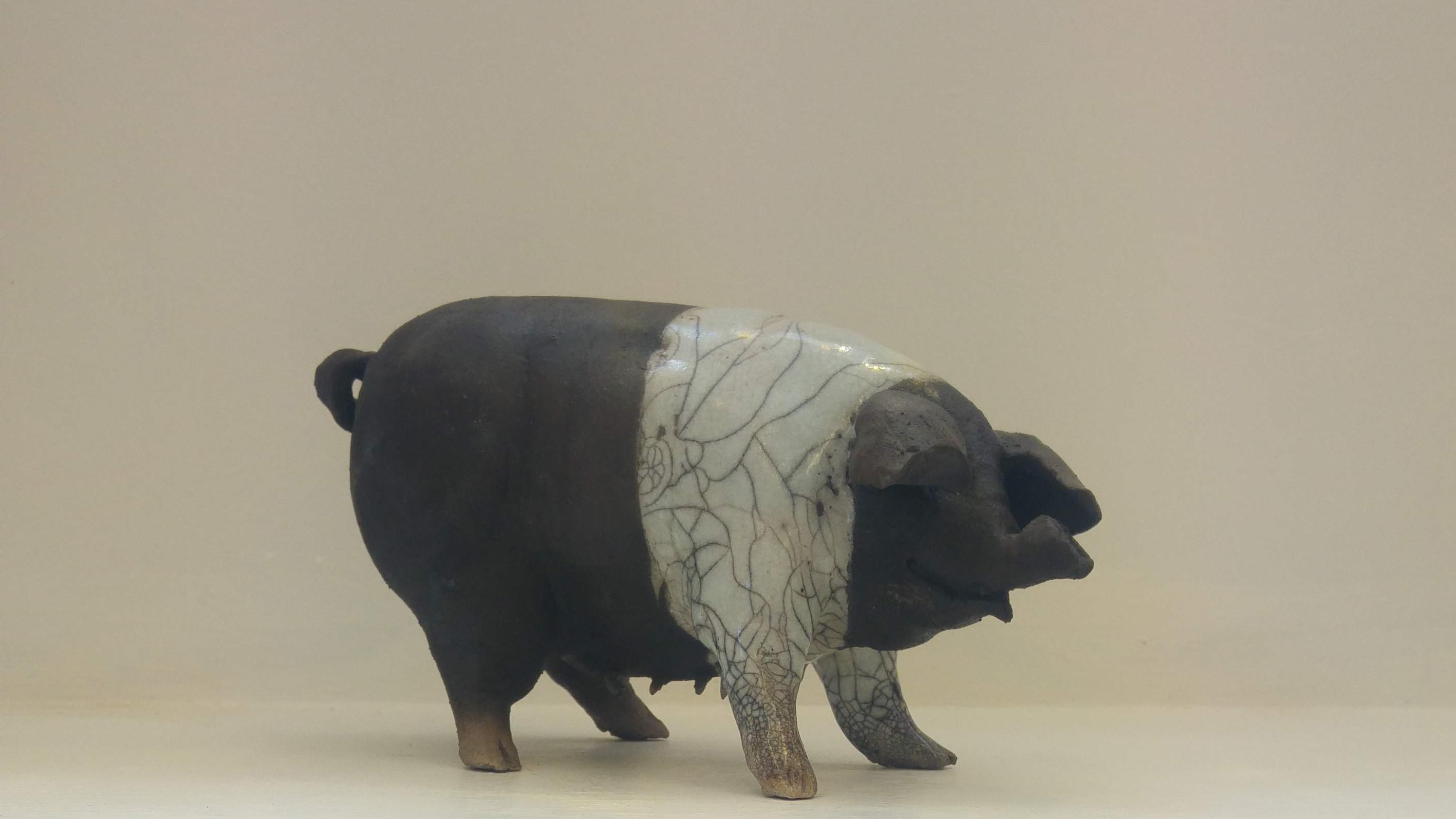 Saddleback Pig