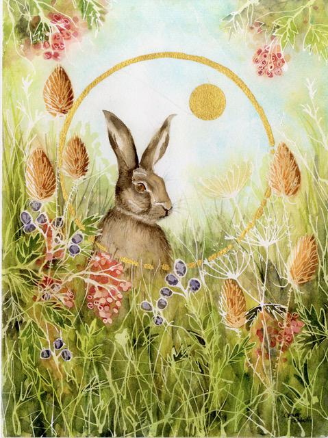 Harvest Hare