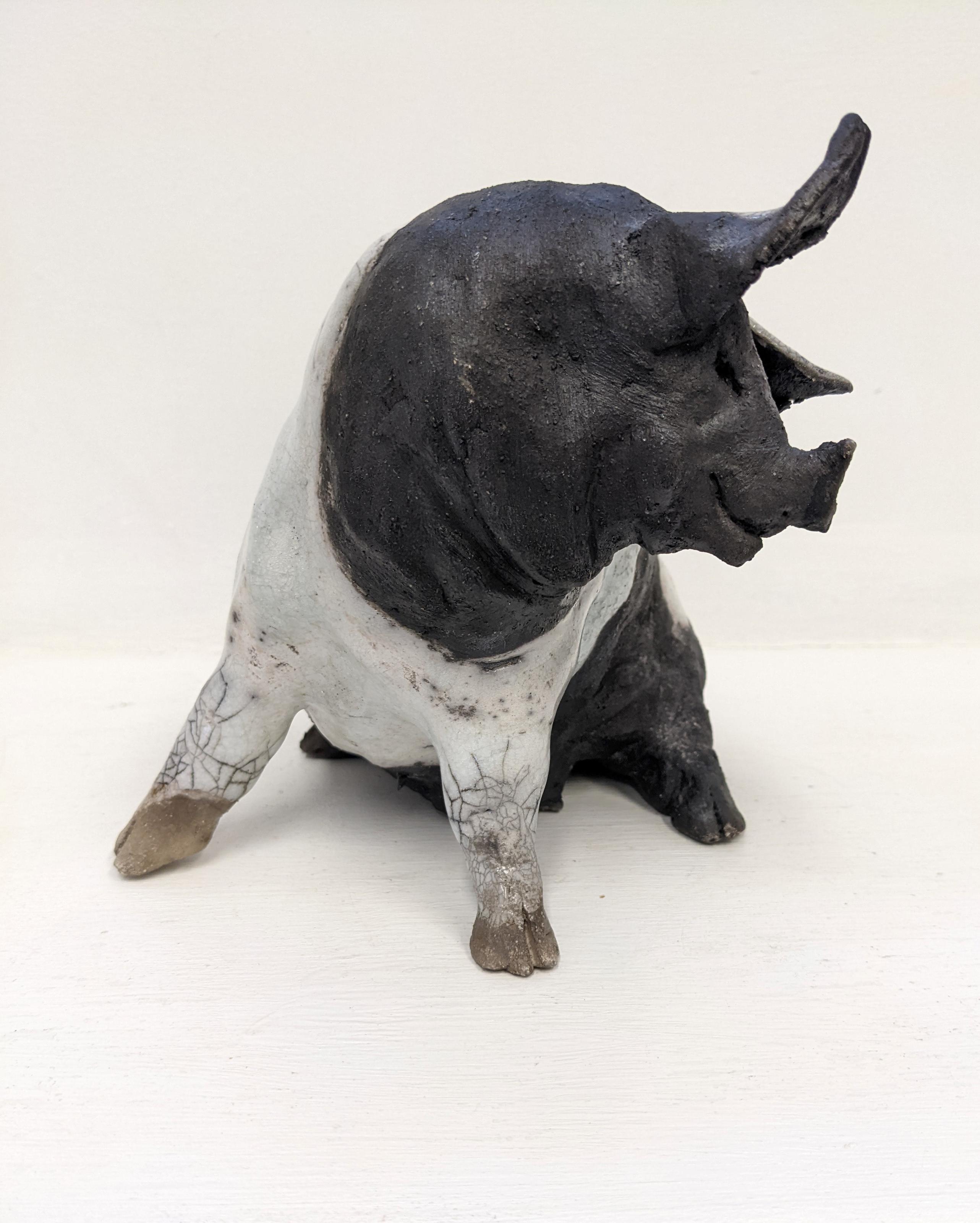 Sitting Saddle Back Pig with Spot