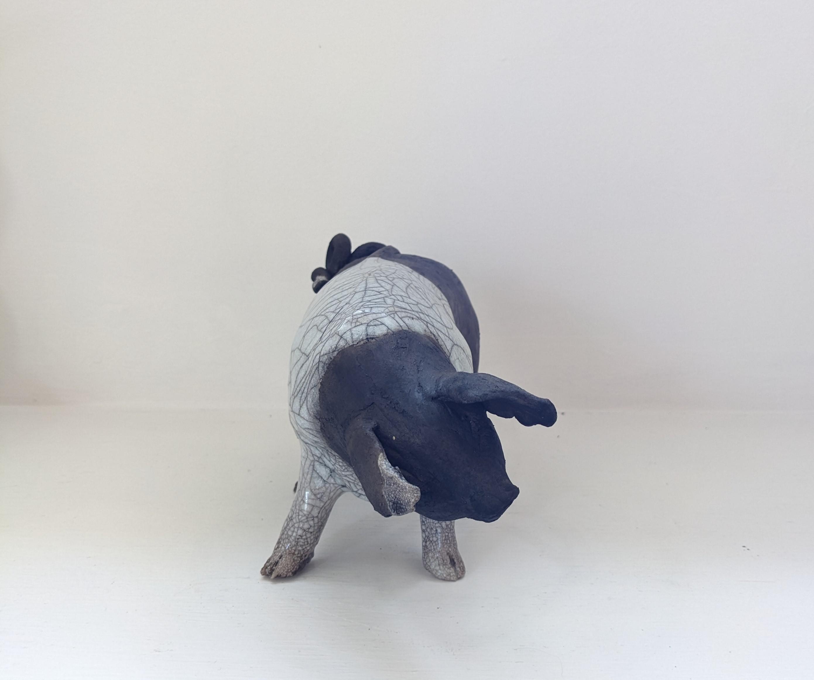 Chloe - standing pig