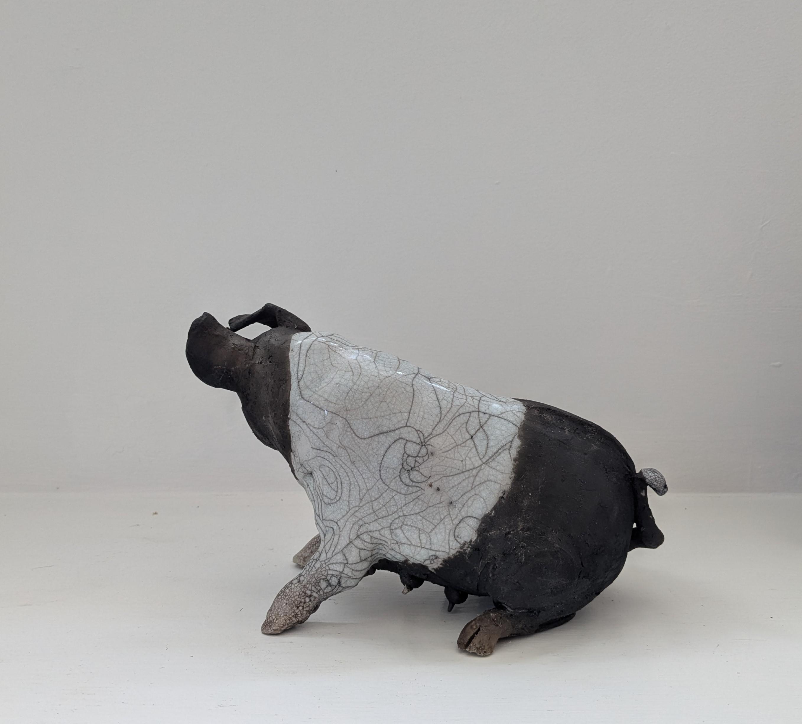 Lilly - sitting pig