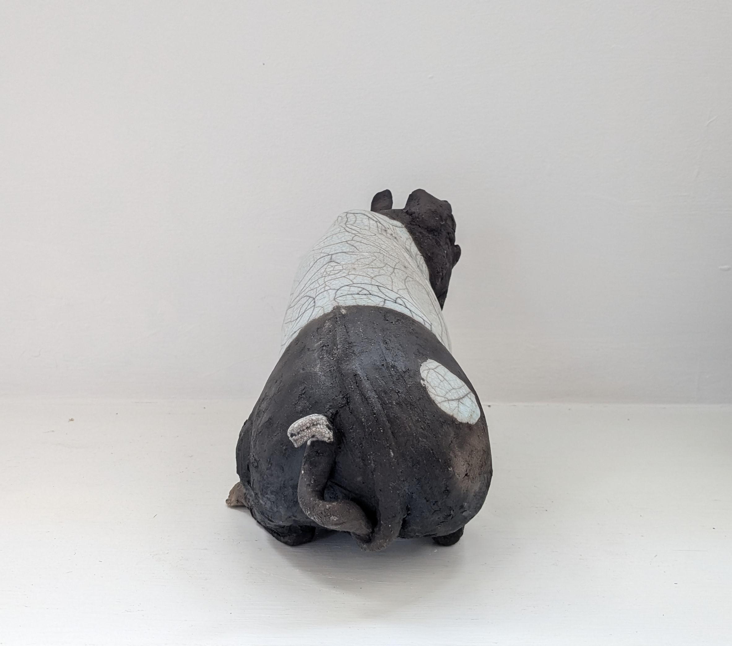 Lilly - sitting pig