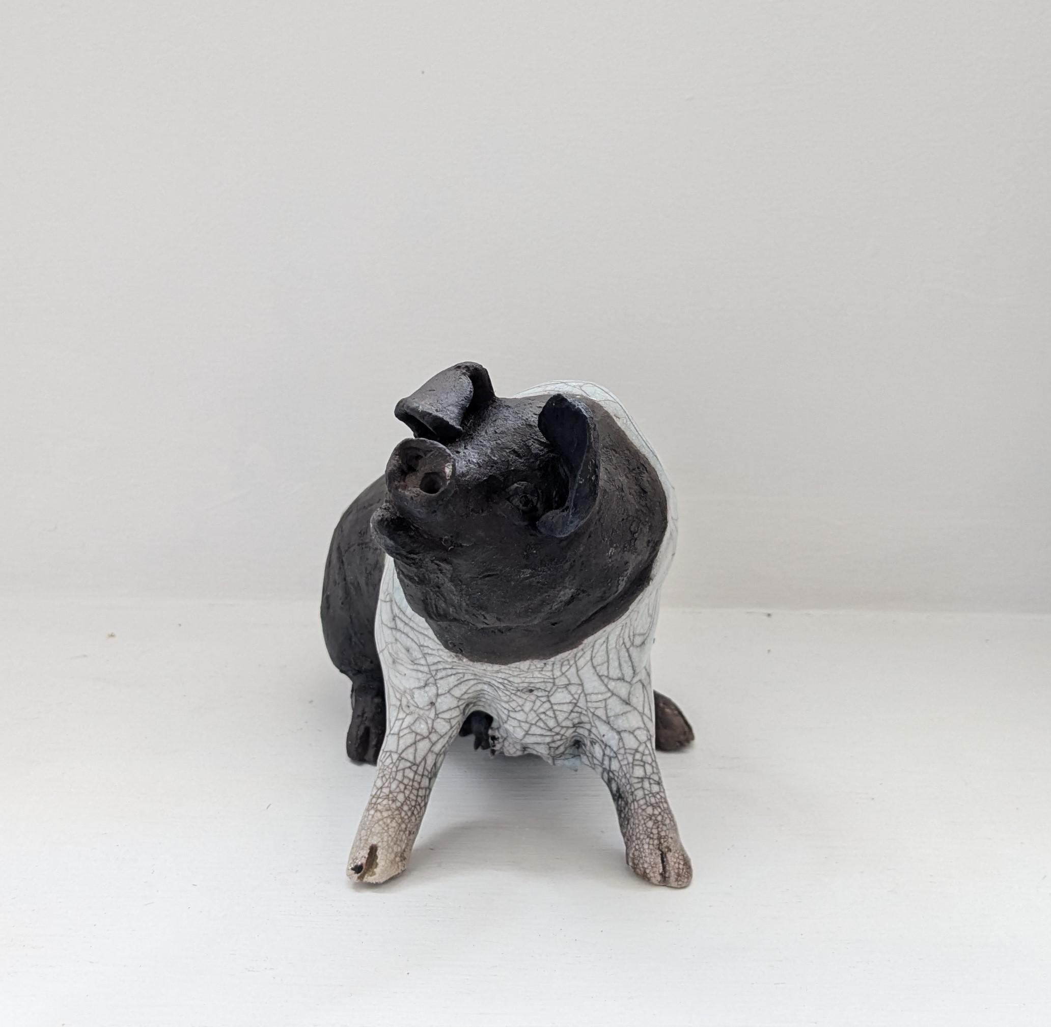 Lilly - sitting pig