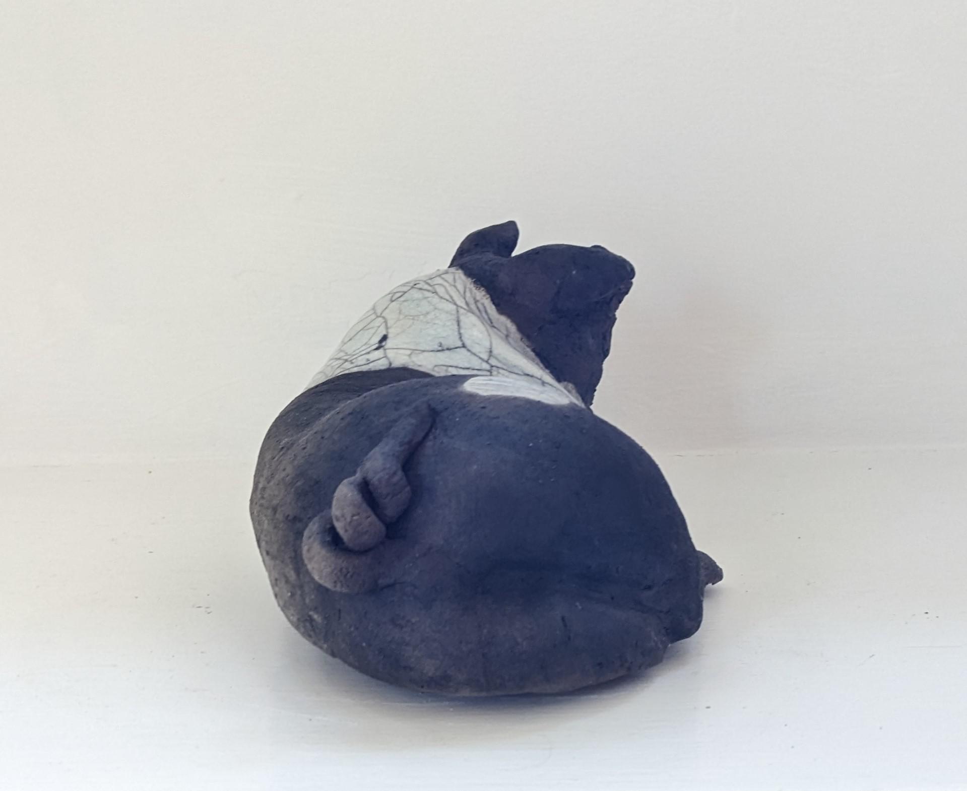 Milly -lying down pig