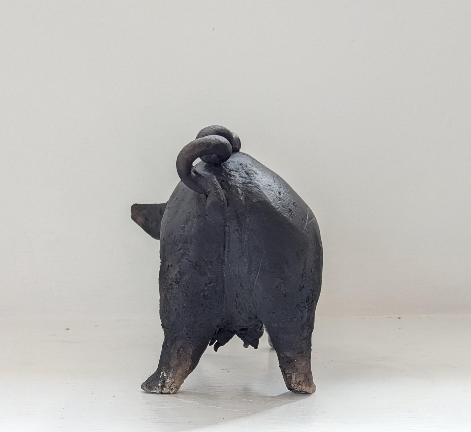 Sparky - standing pig