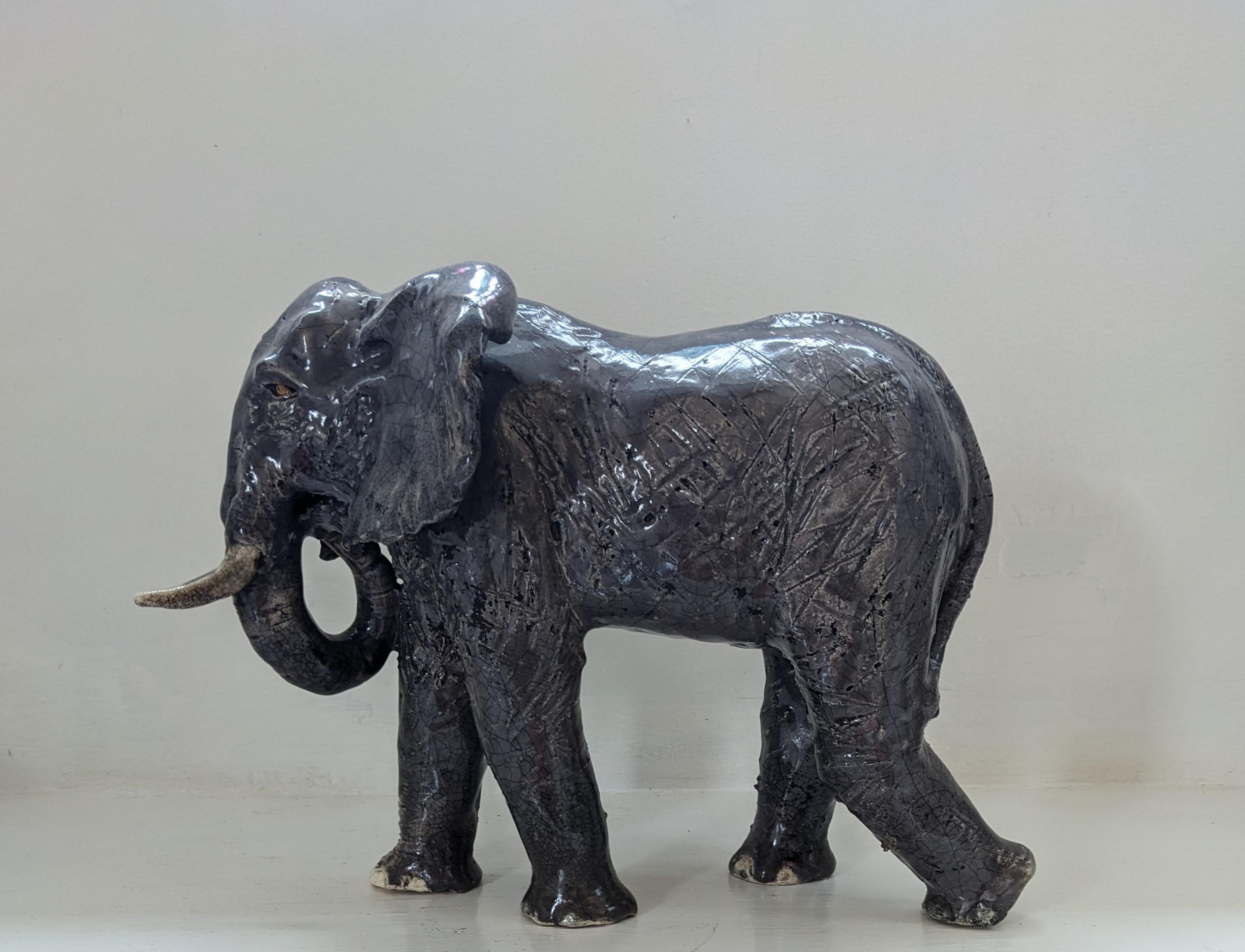African Elephant