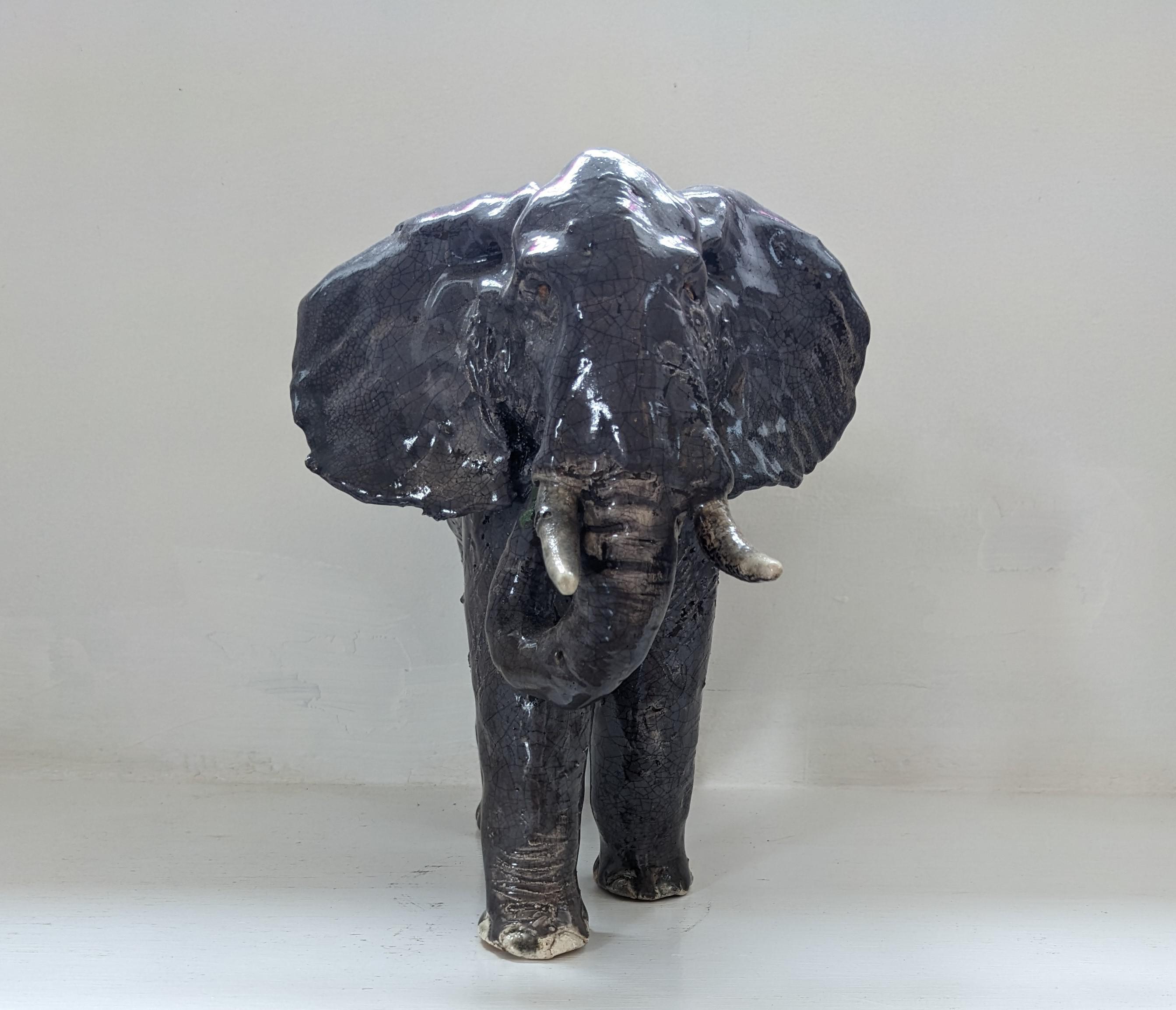African Elephant