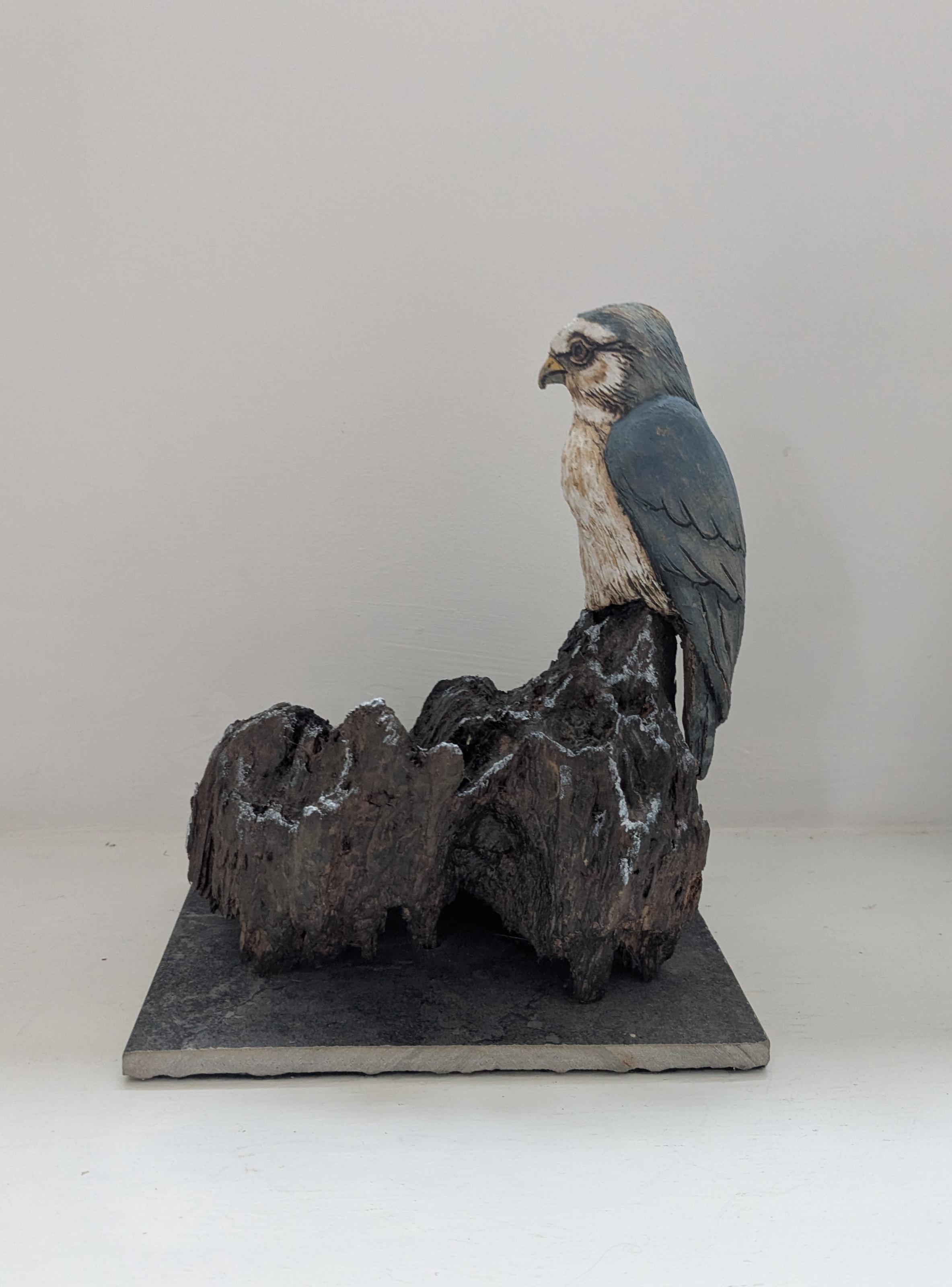 Merlin on Found Wood