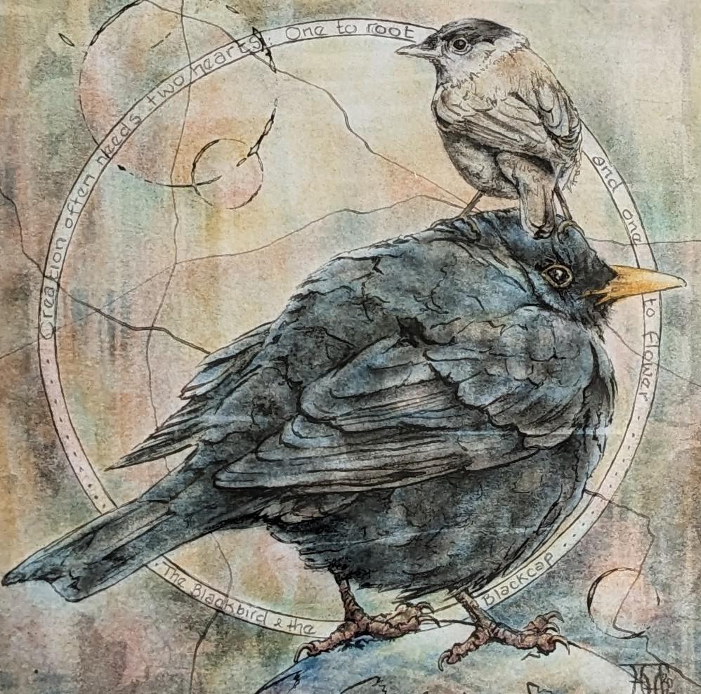 The Blackbird and the Blackcap