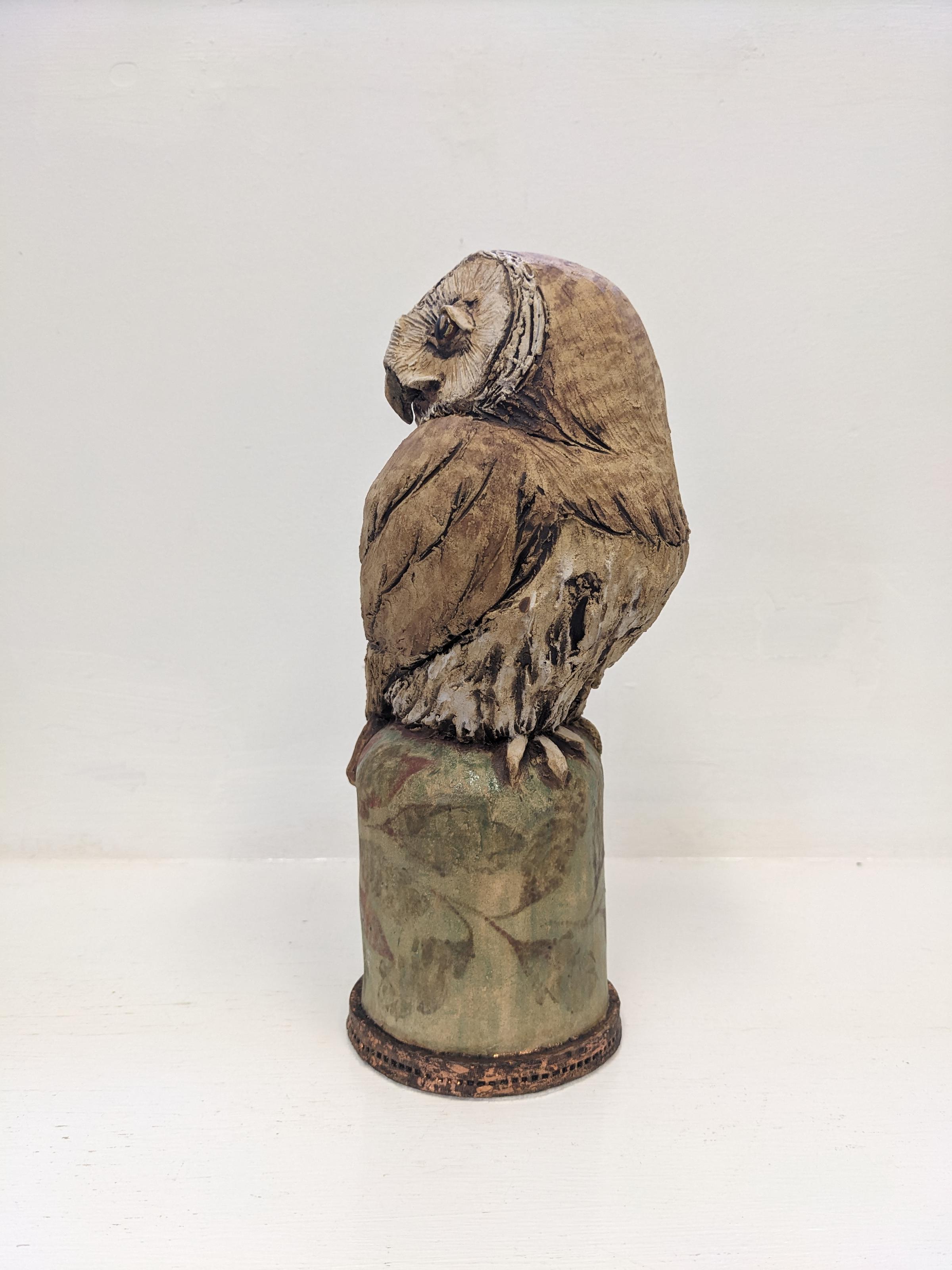 Tawney Owl