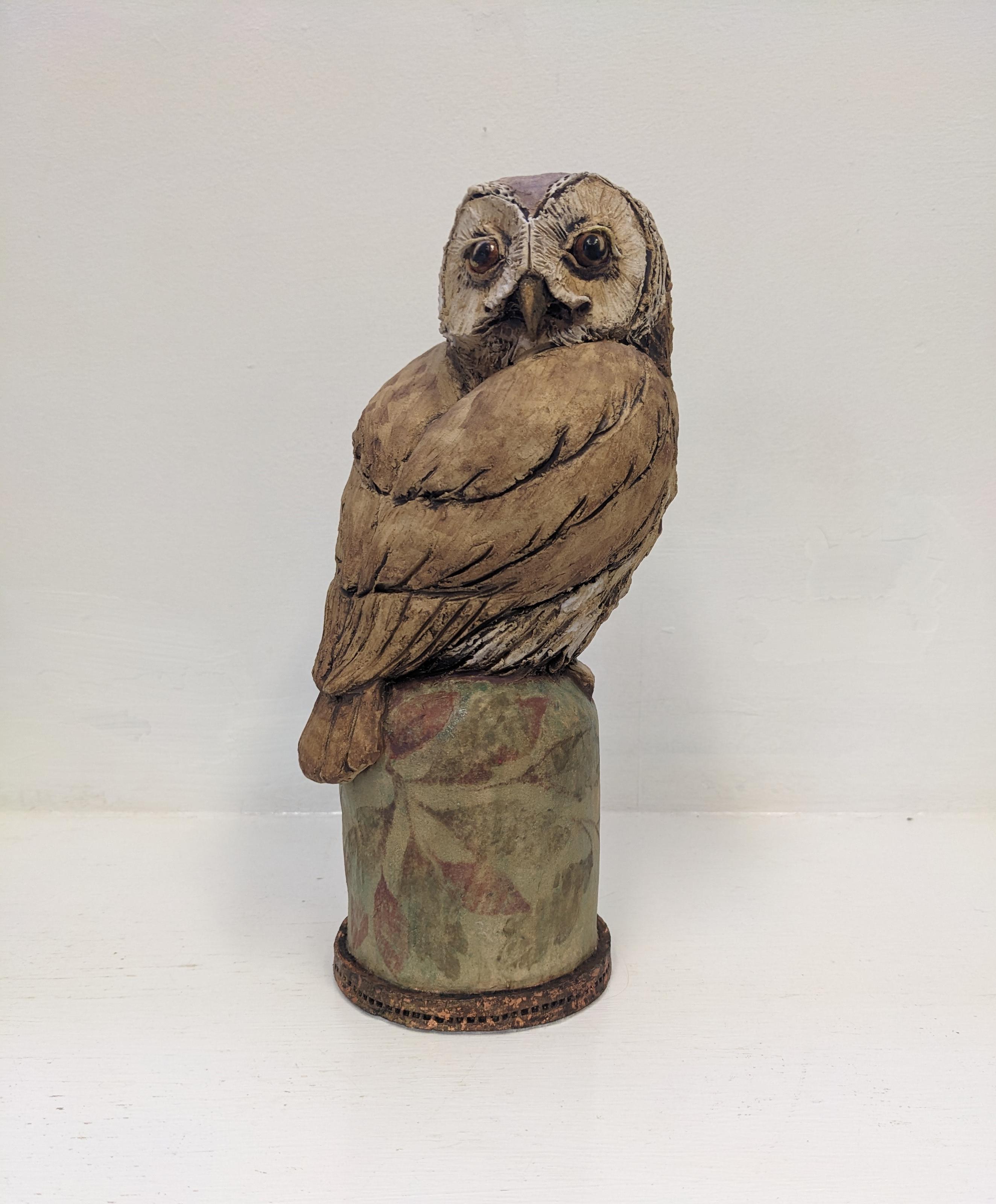 Tawney Owl