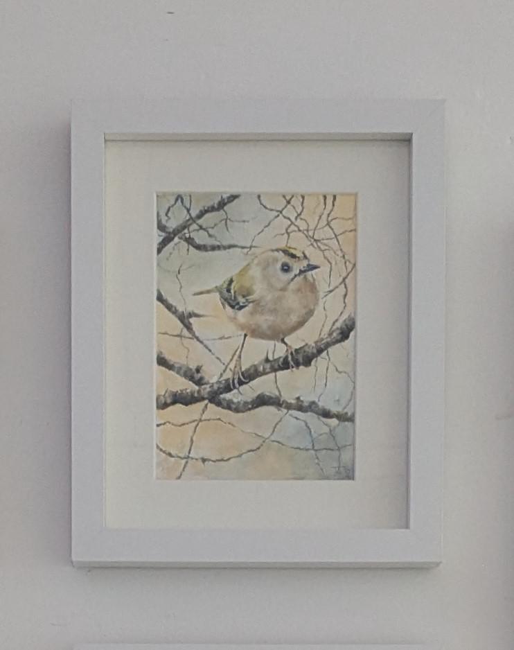 A Brief Stillness - Goldcrest in January