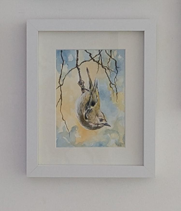A Moments Industry - Goldcrest at Work