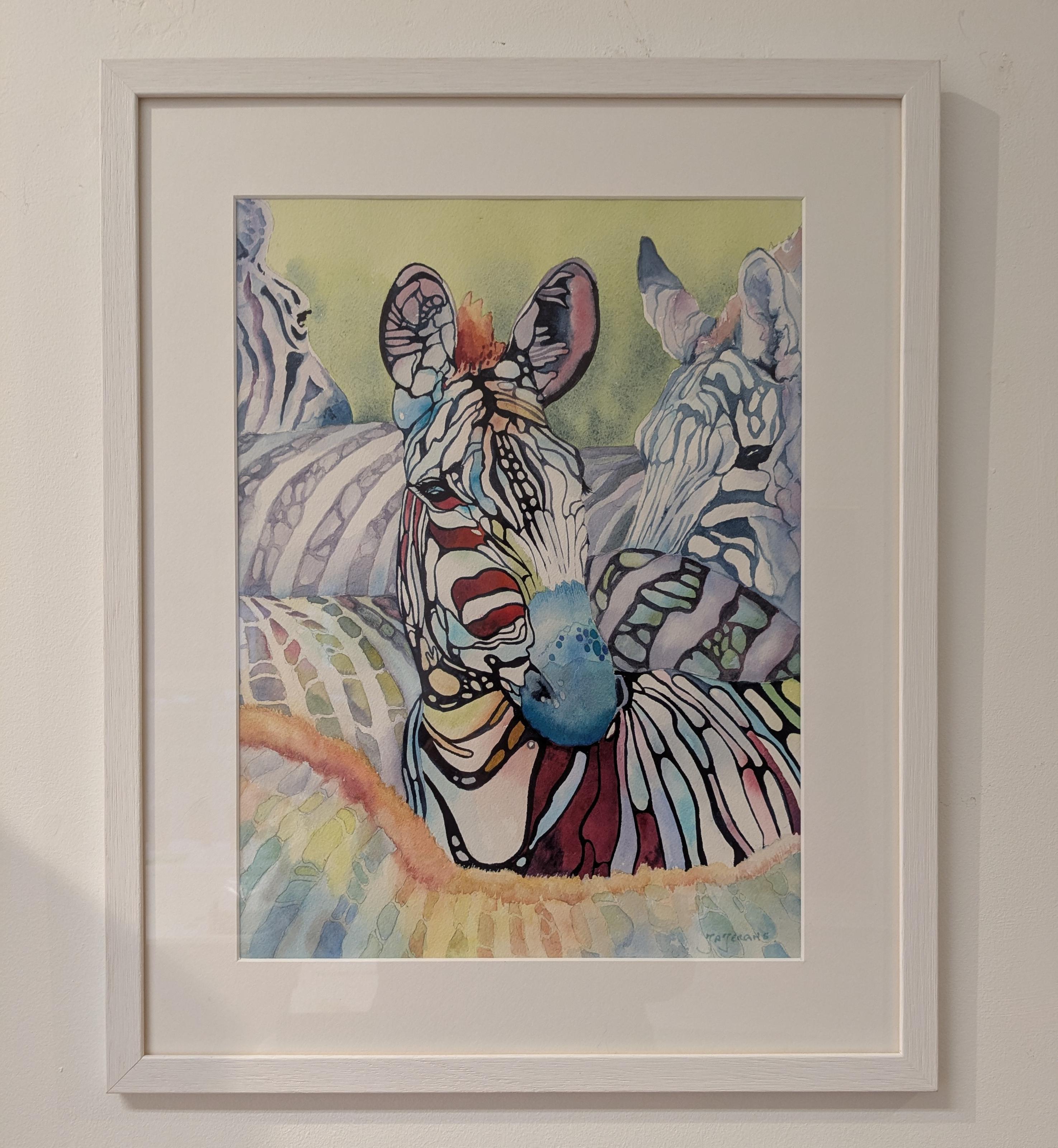 Rainbow Zebra