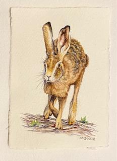 Running Hare