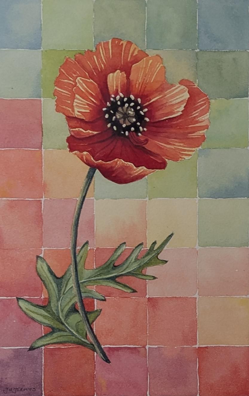 Poppy Palette