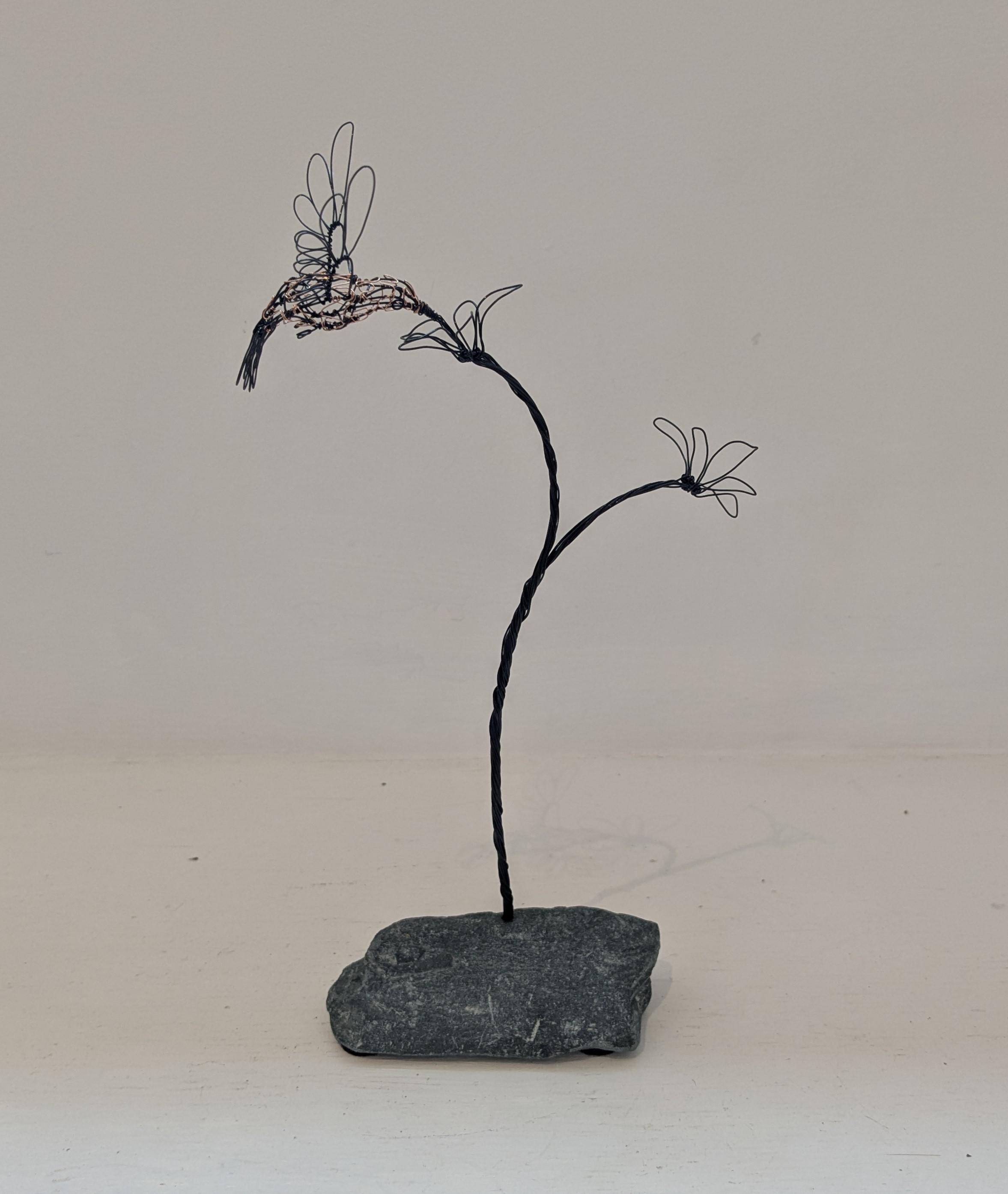 Hummingbird on Double Flower Stem