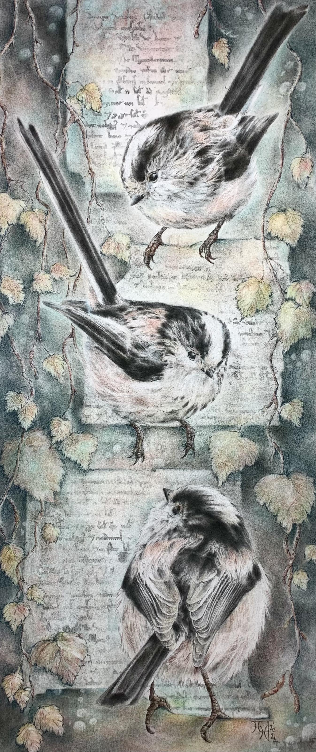 Long-Tailed Tits