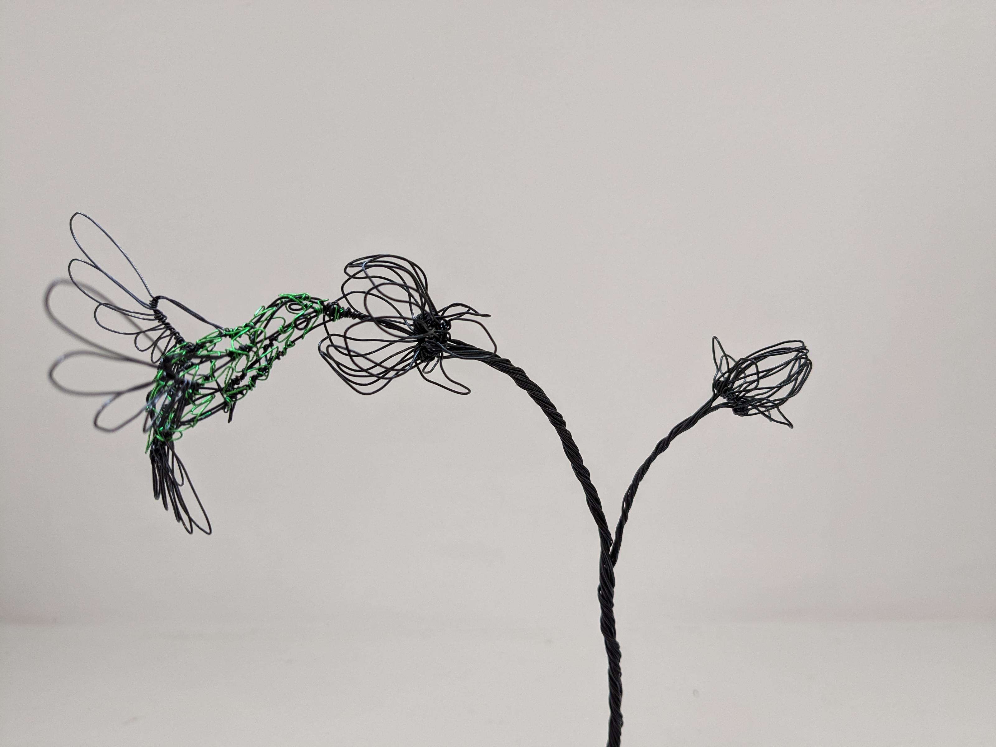 Humming on Double Flower Stem