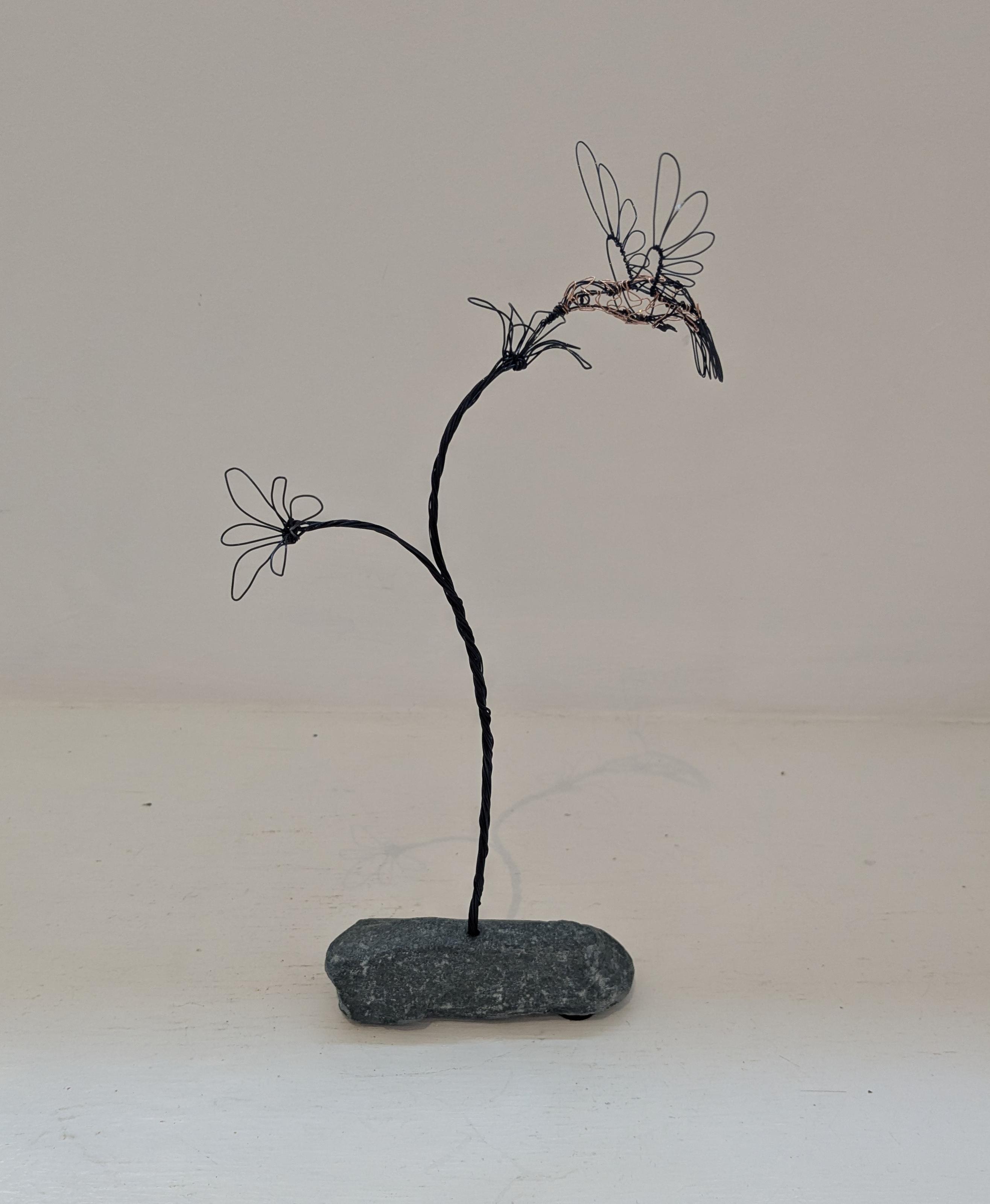 Hummingbird on Double Flower Stem