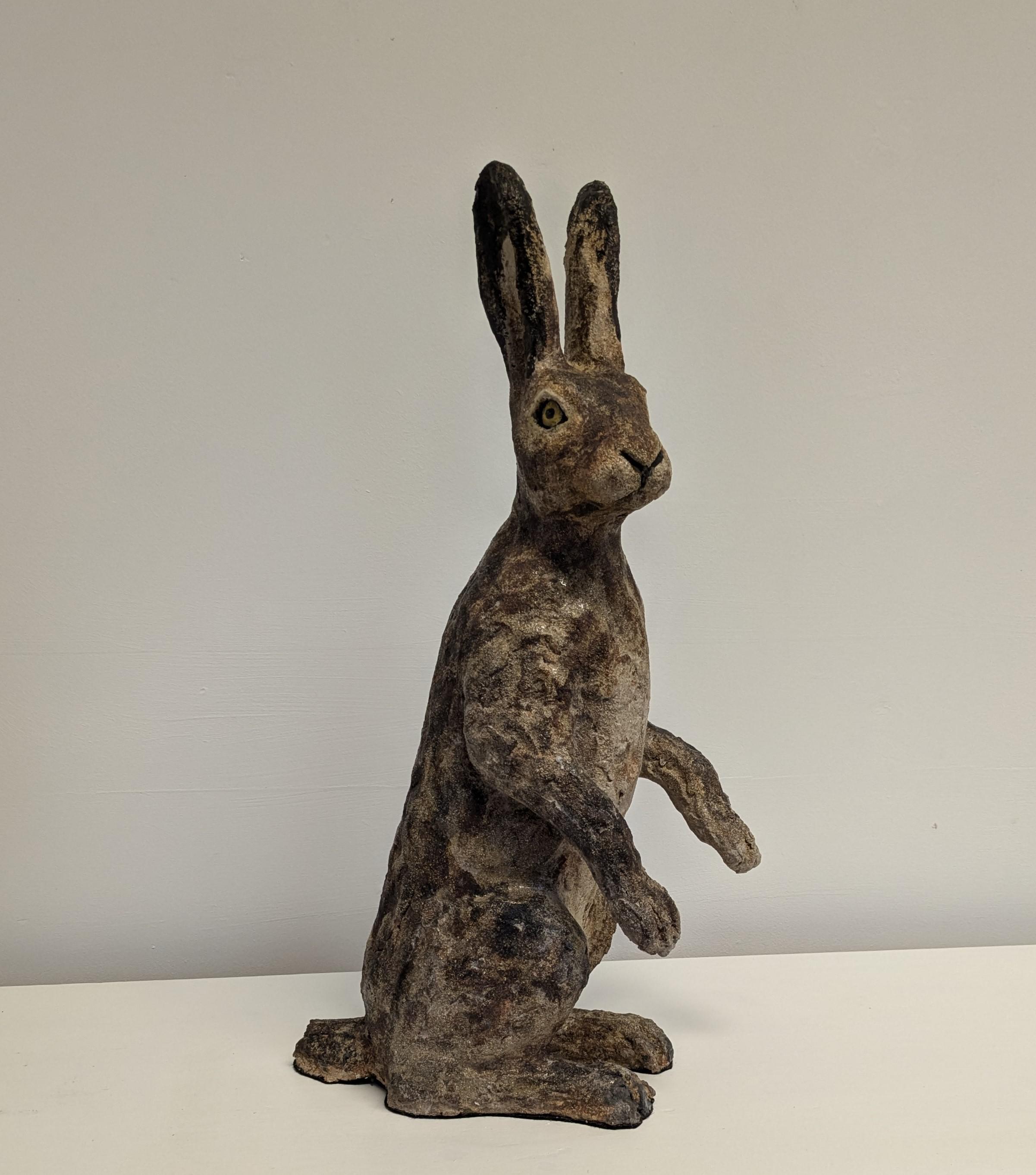 Sitting Hare