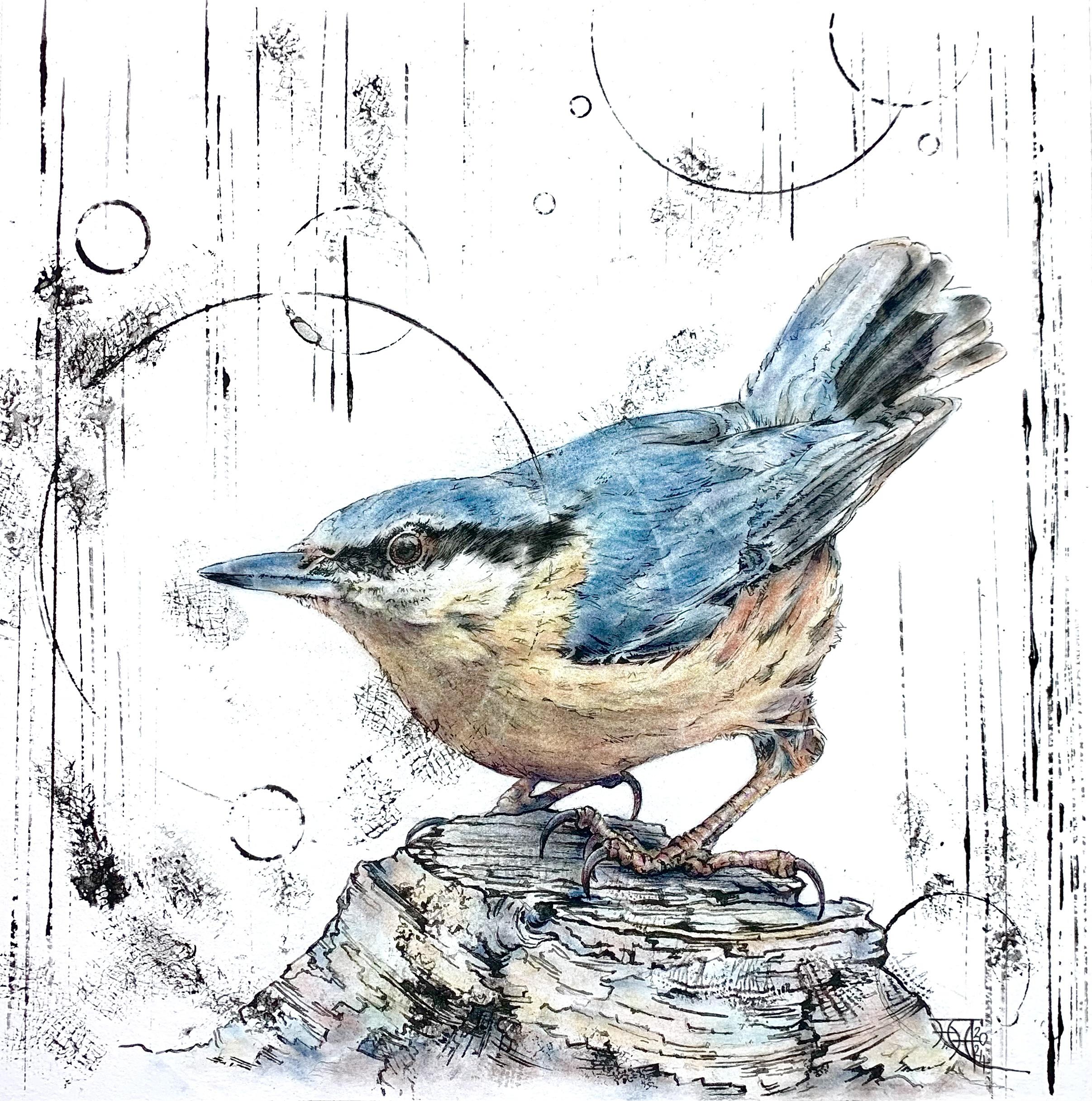 Nuthatch II