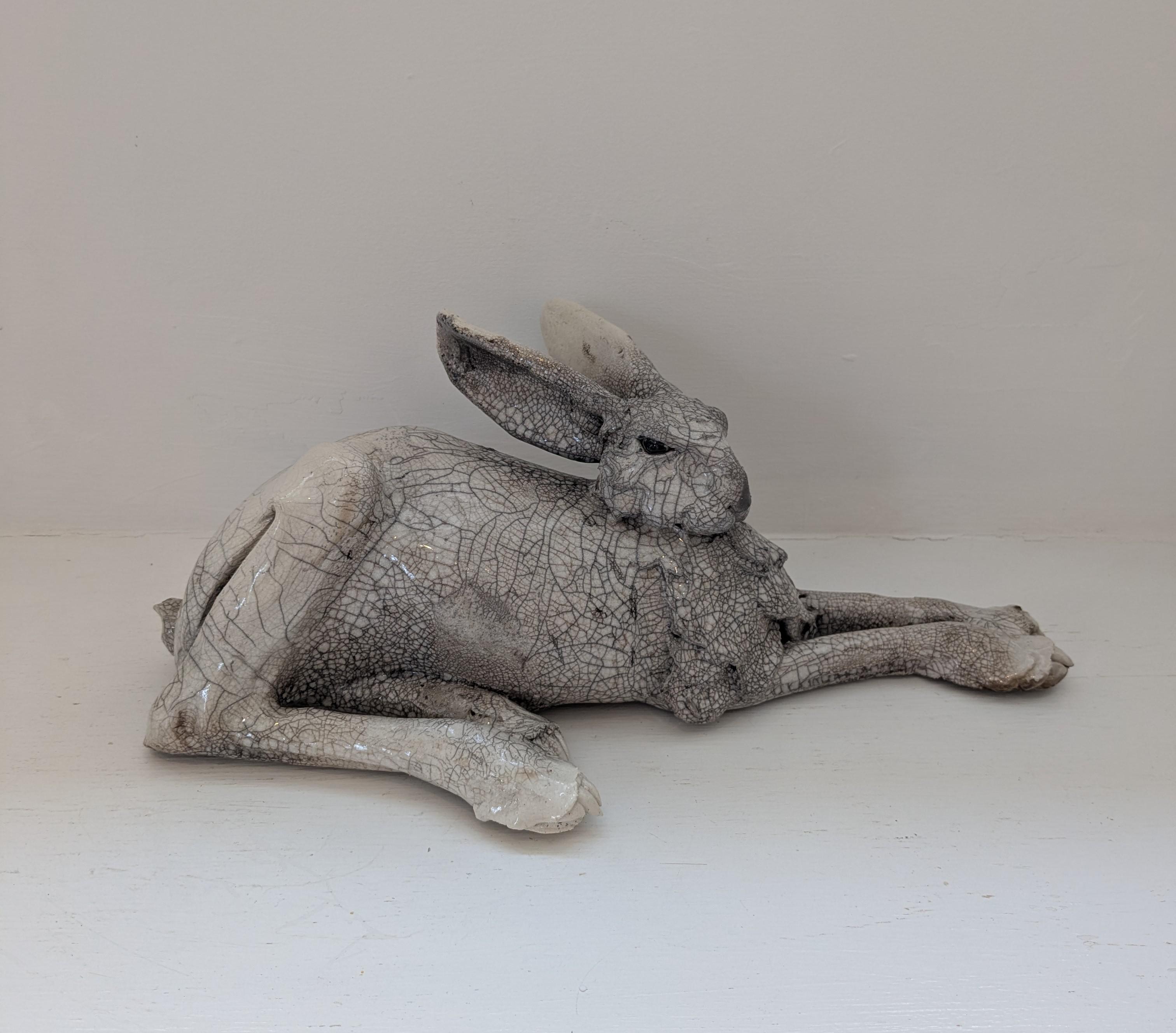 Large Lying Hare