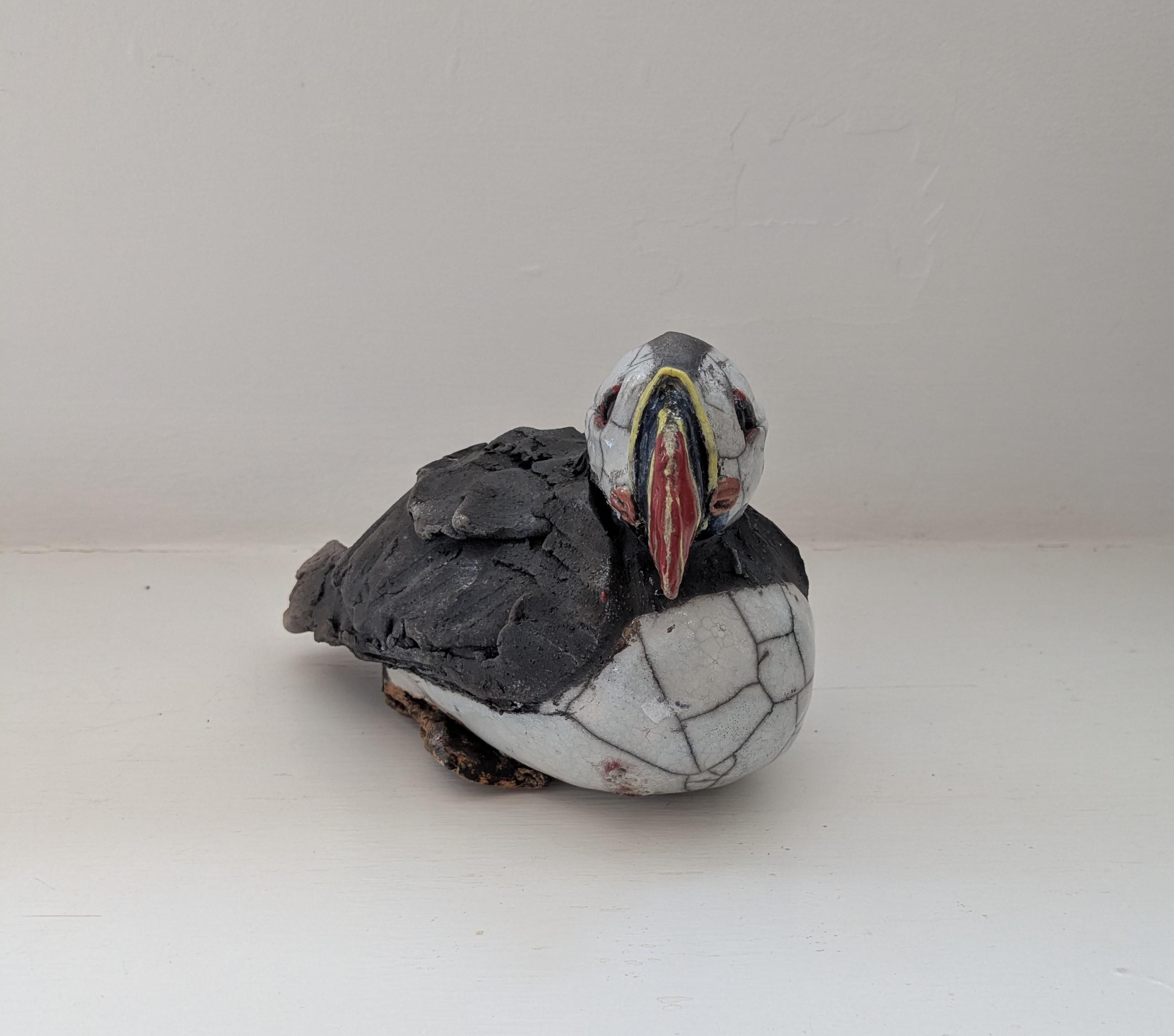 Sitting Puffin