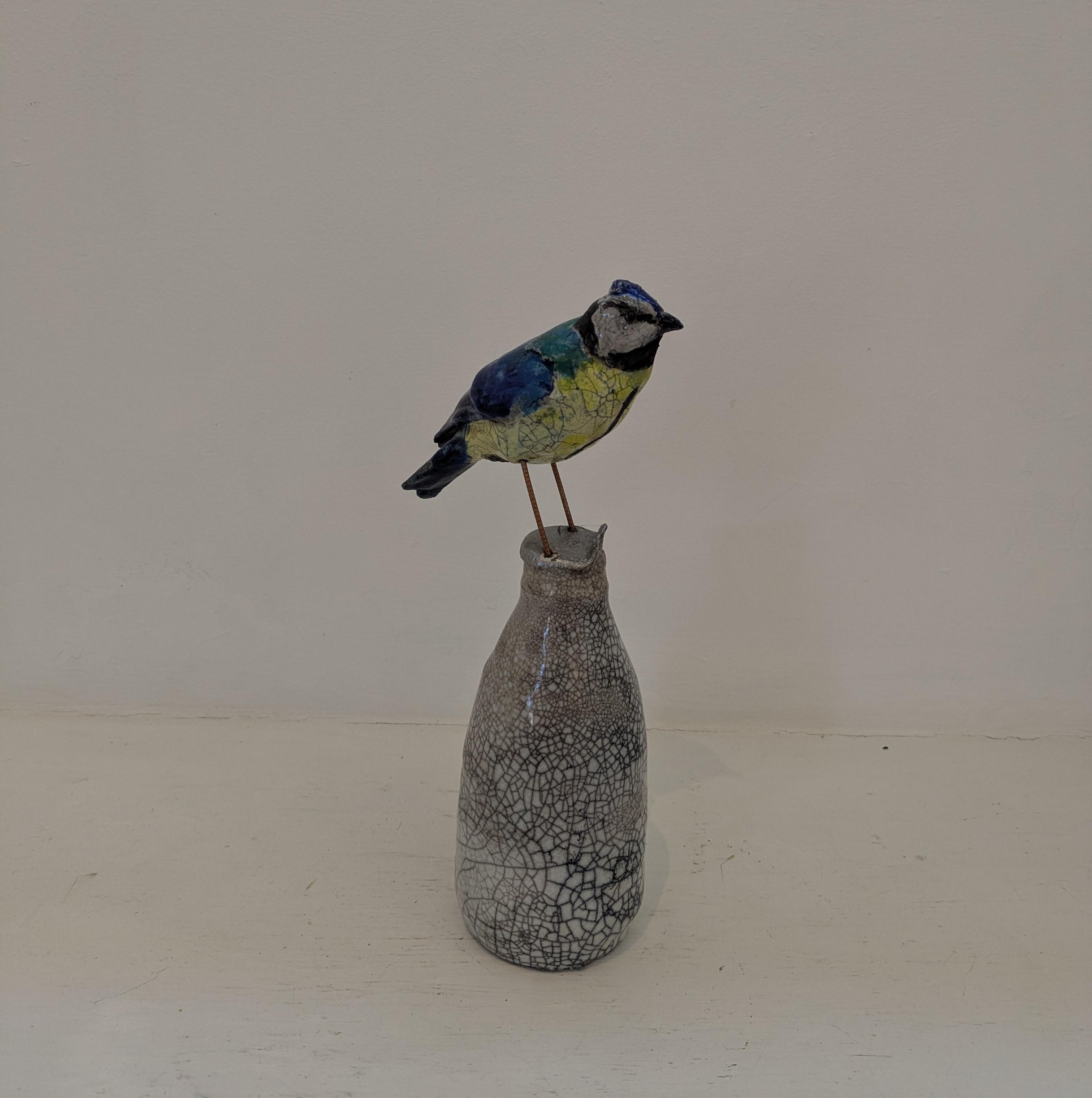 Blue Tit on Milk Bottle
