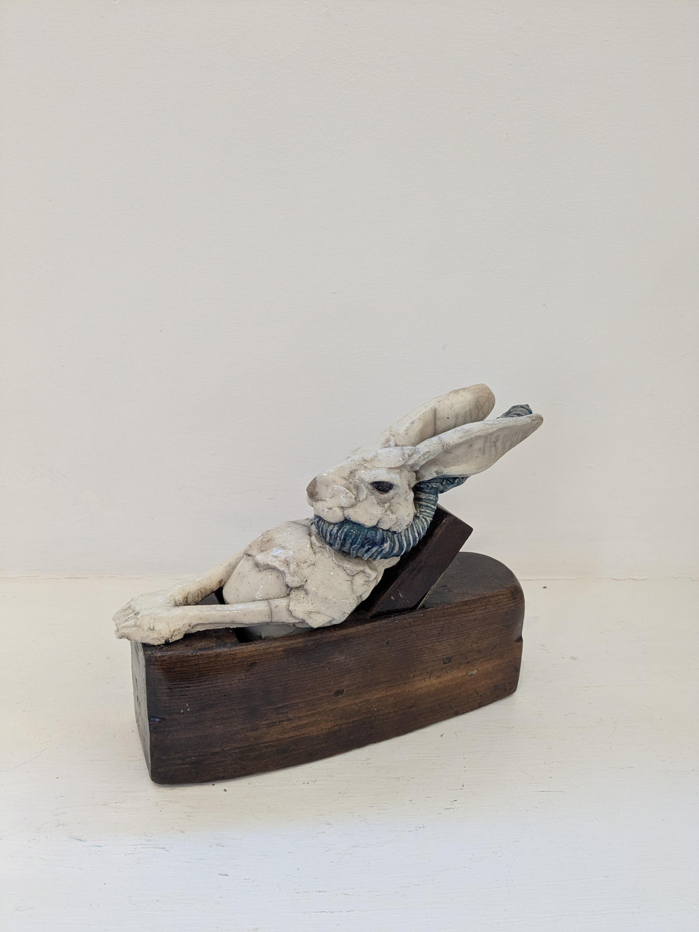Hare O'plane