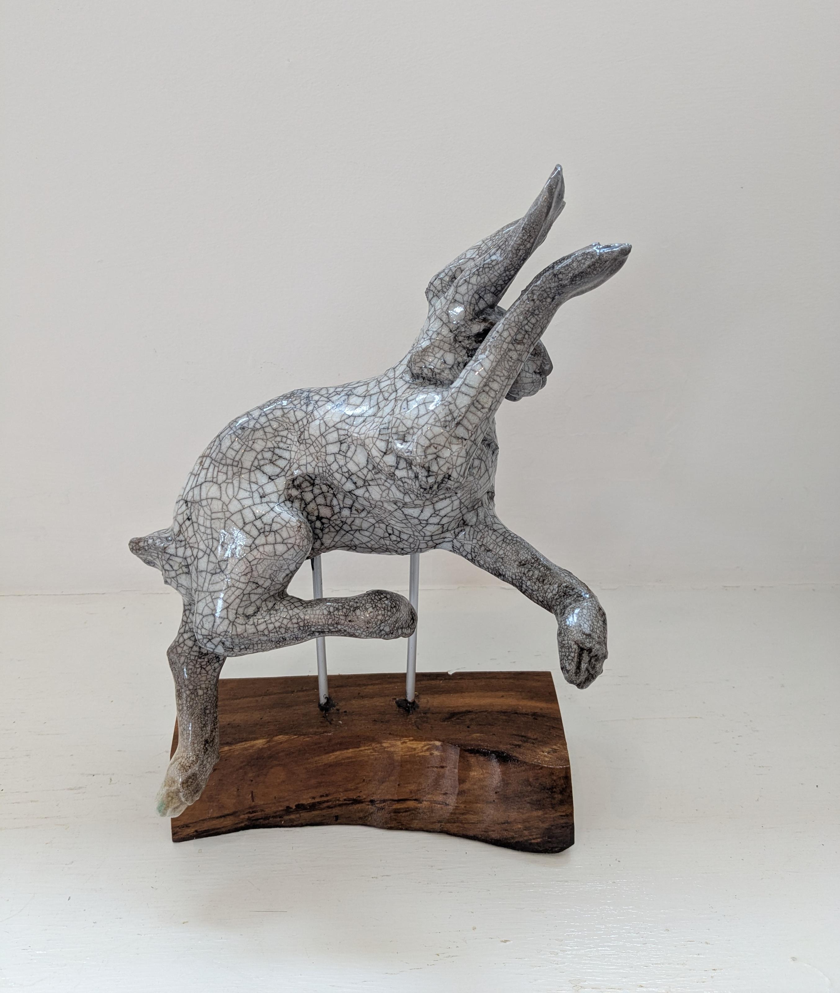 Jumping Hare