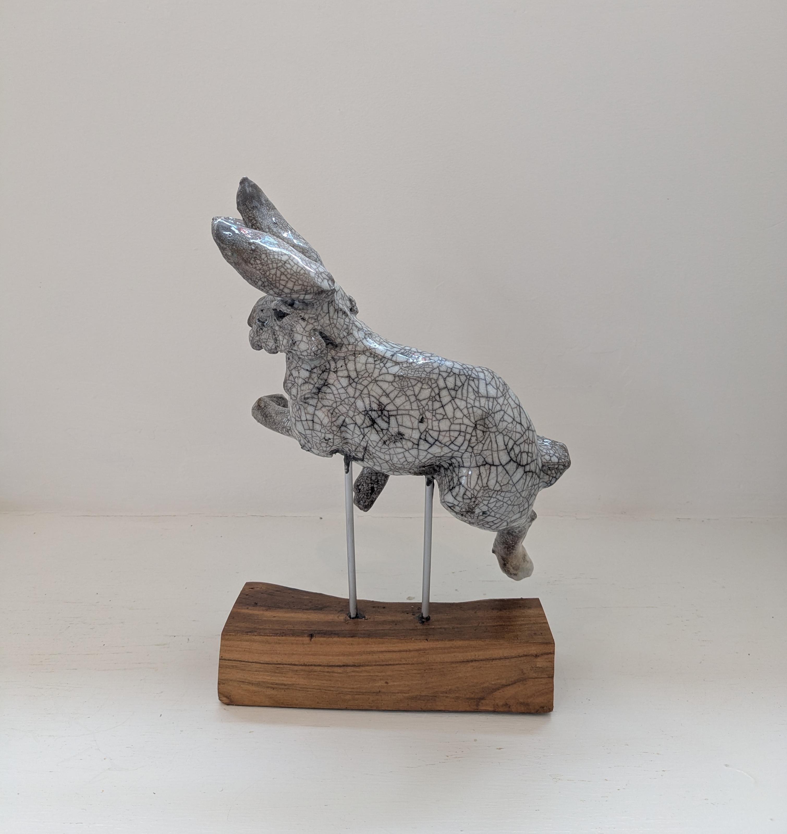 Jumping Hare