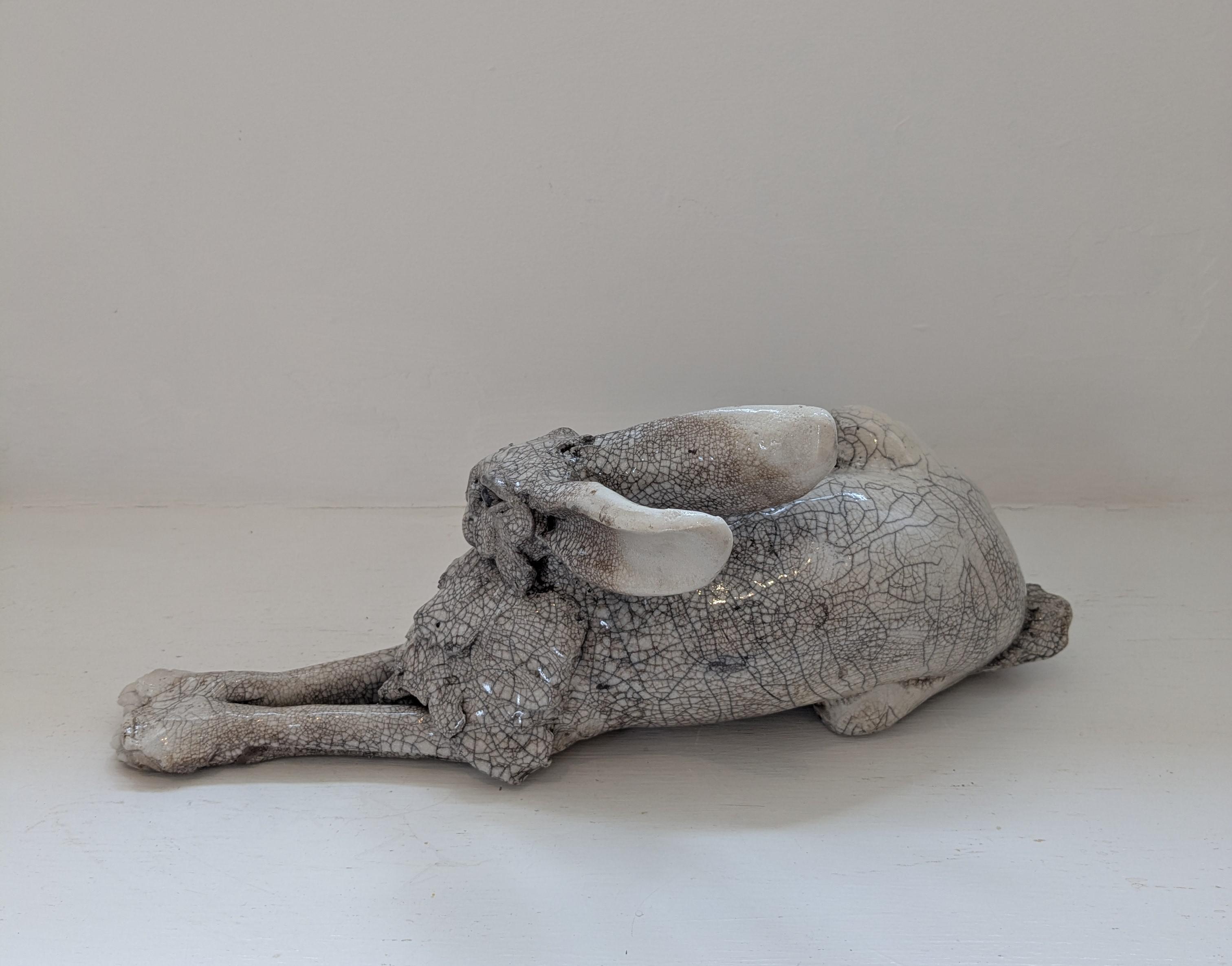 Large Lying Hare