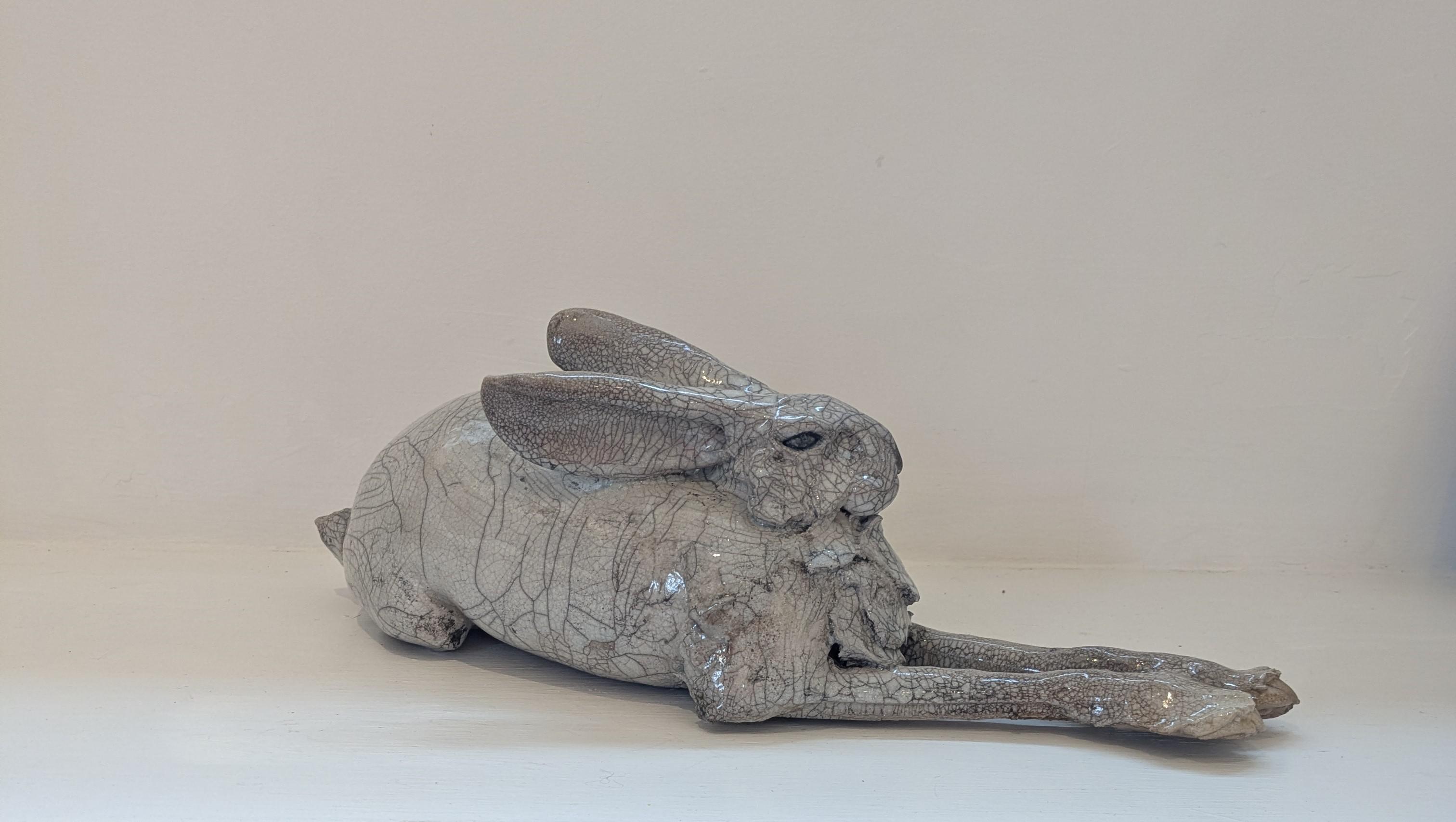 Large Lying Hare
