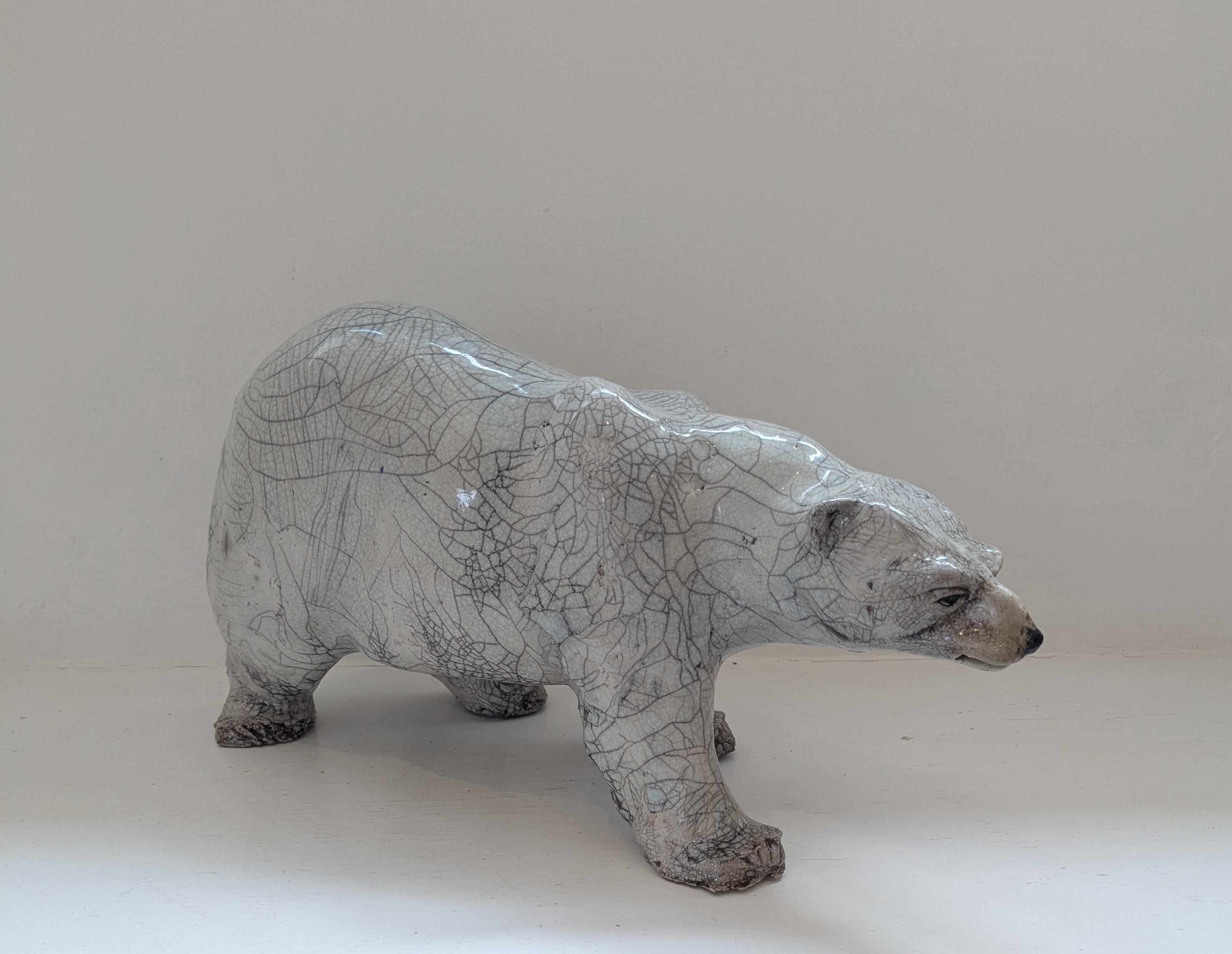 Polar Bear