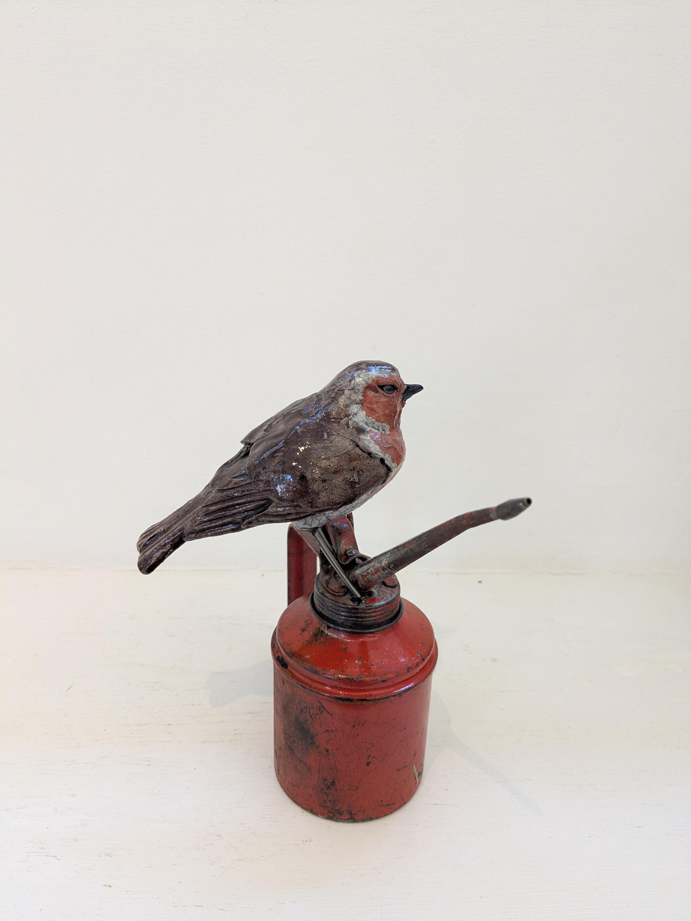 Robin on Oil Pump
