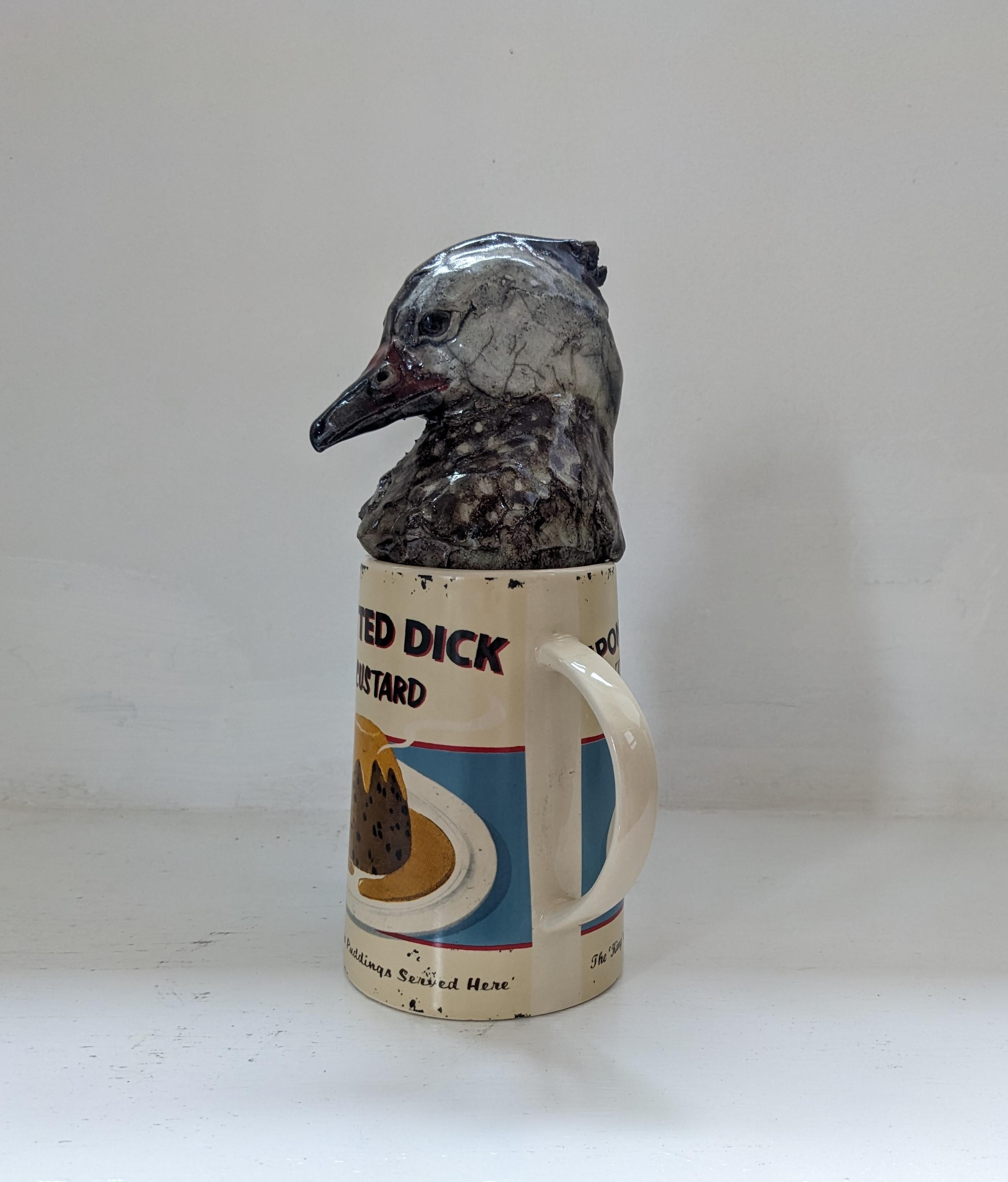 Spotted Duck