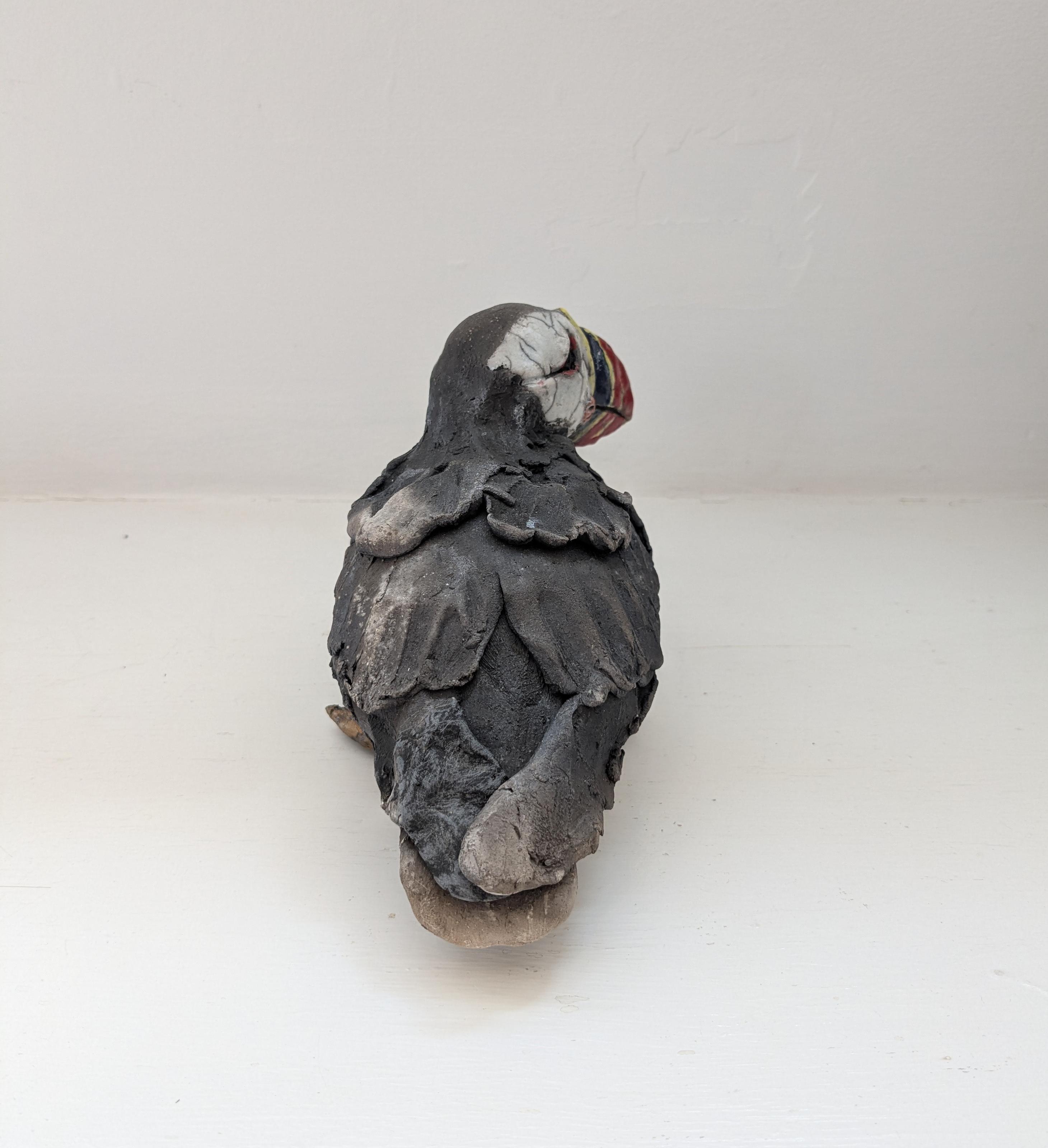 Sitting Puffin