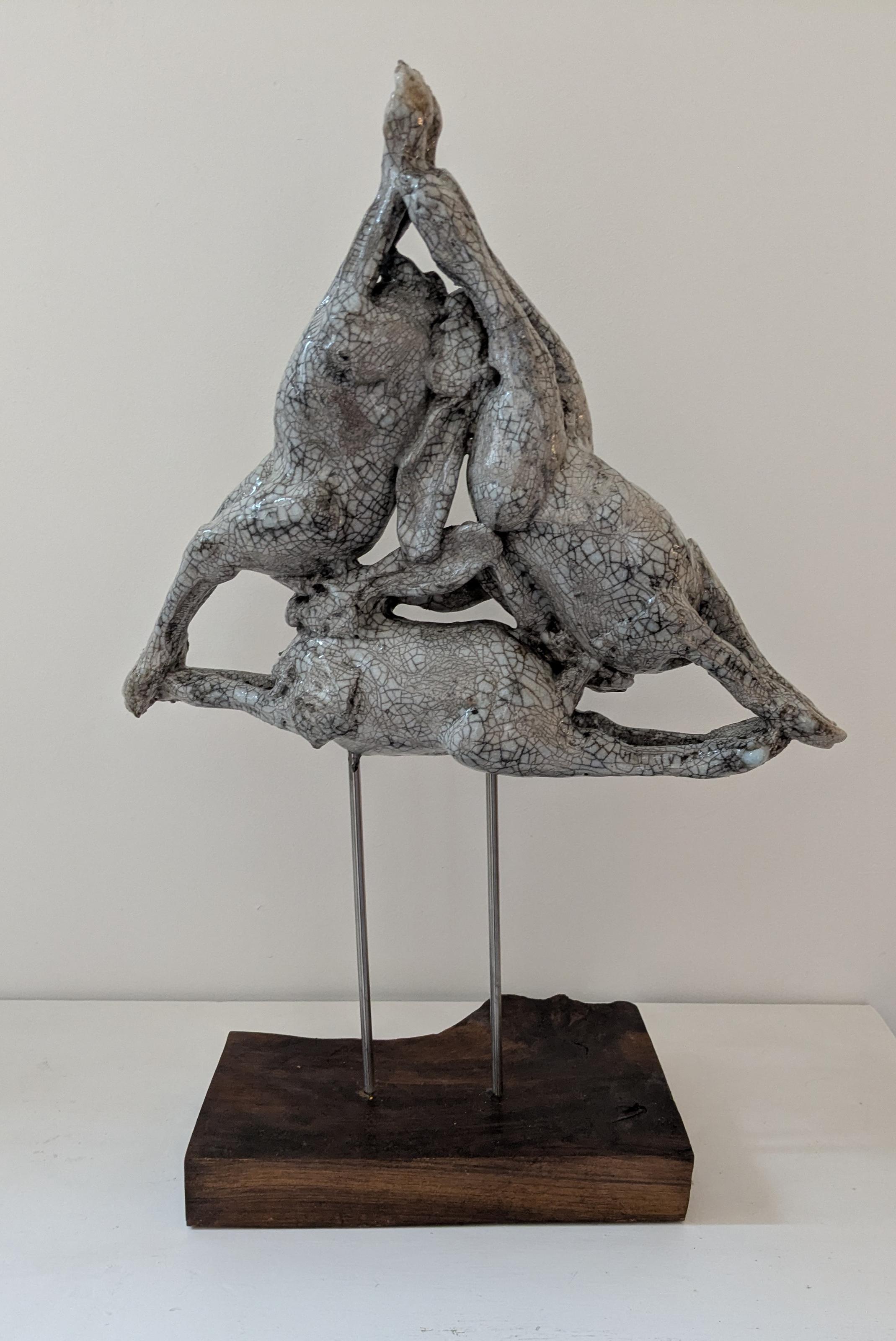 Tinners' Hares