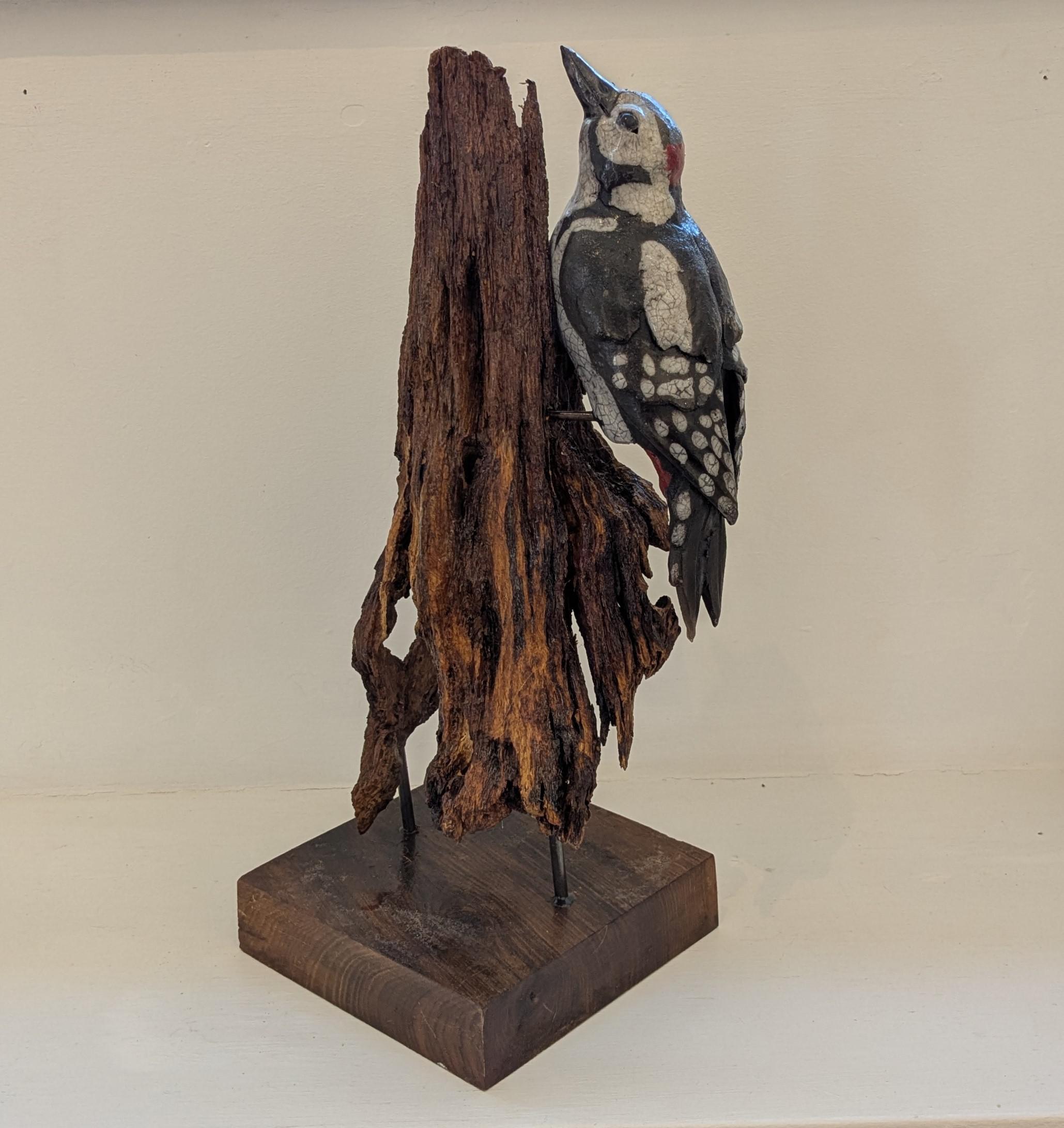 Woodpecker on Oak