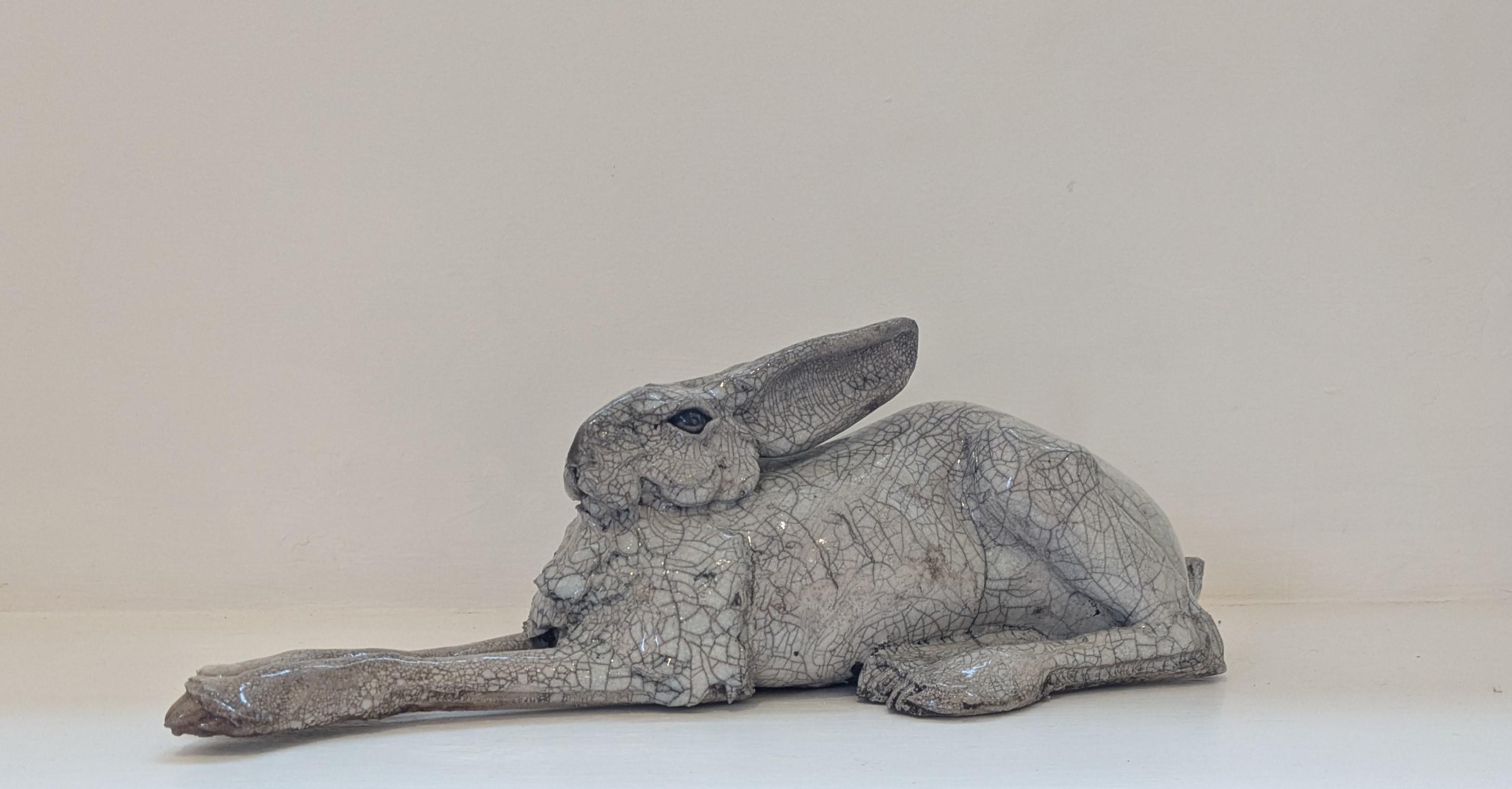 Large Lying Hare