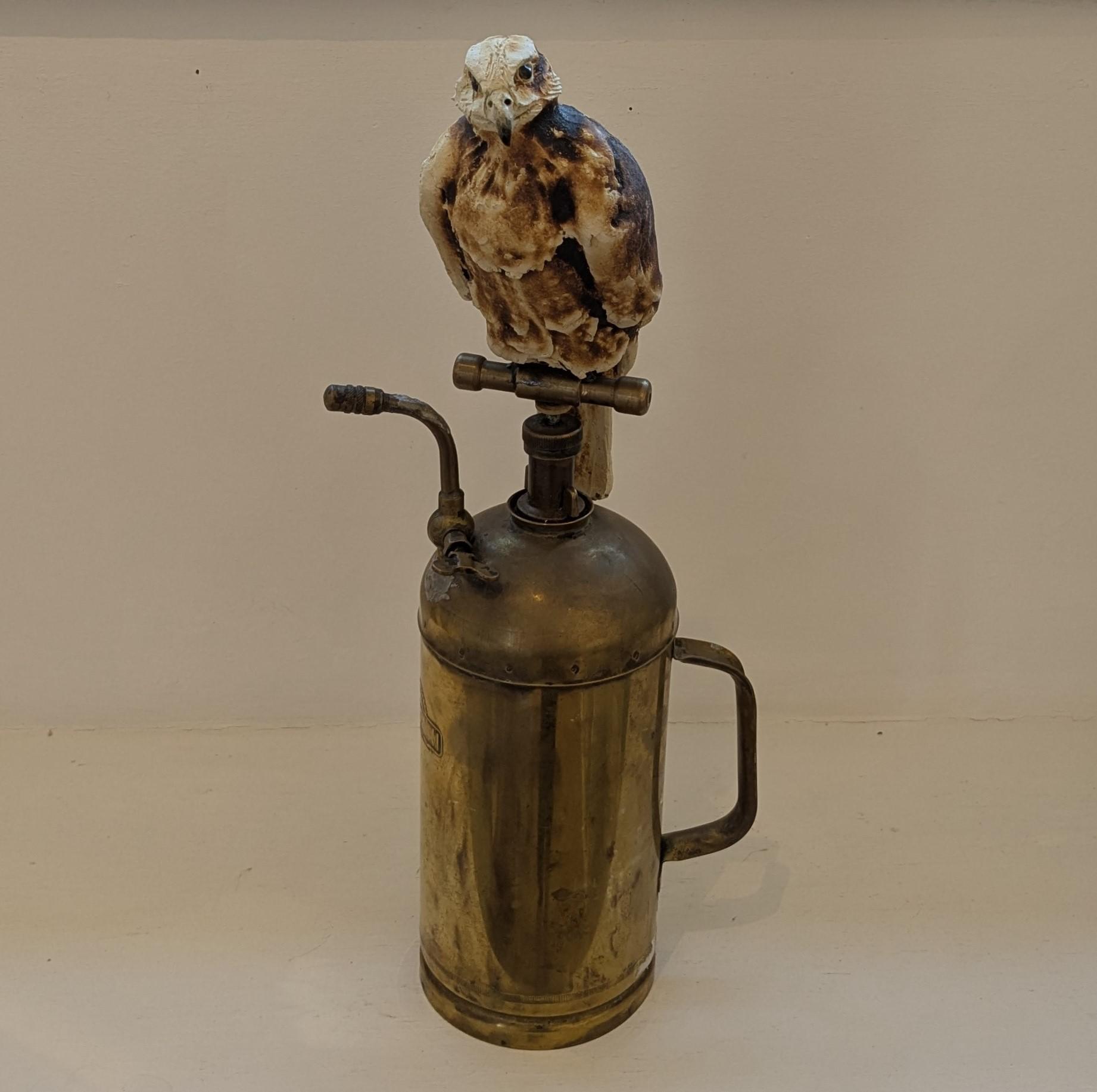 Bird of Spray