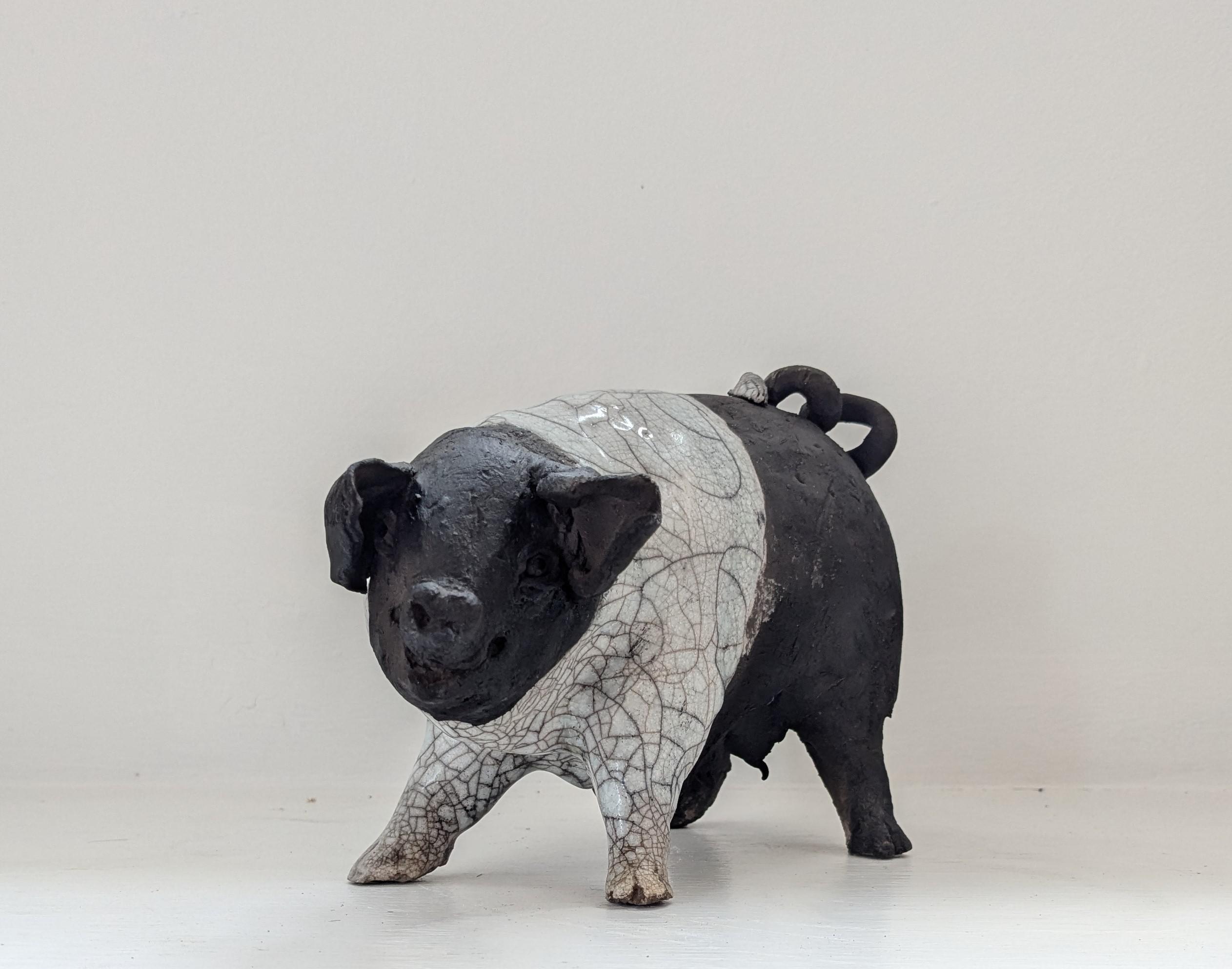 Sparky - standing pig