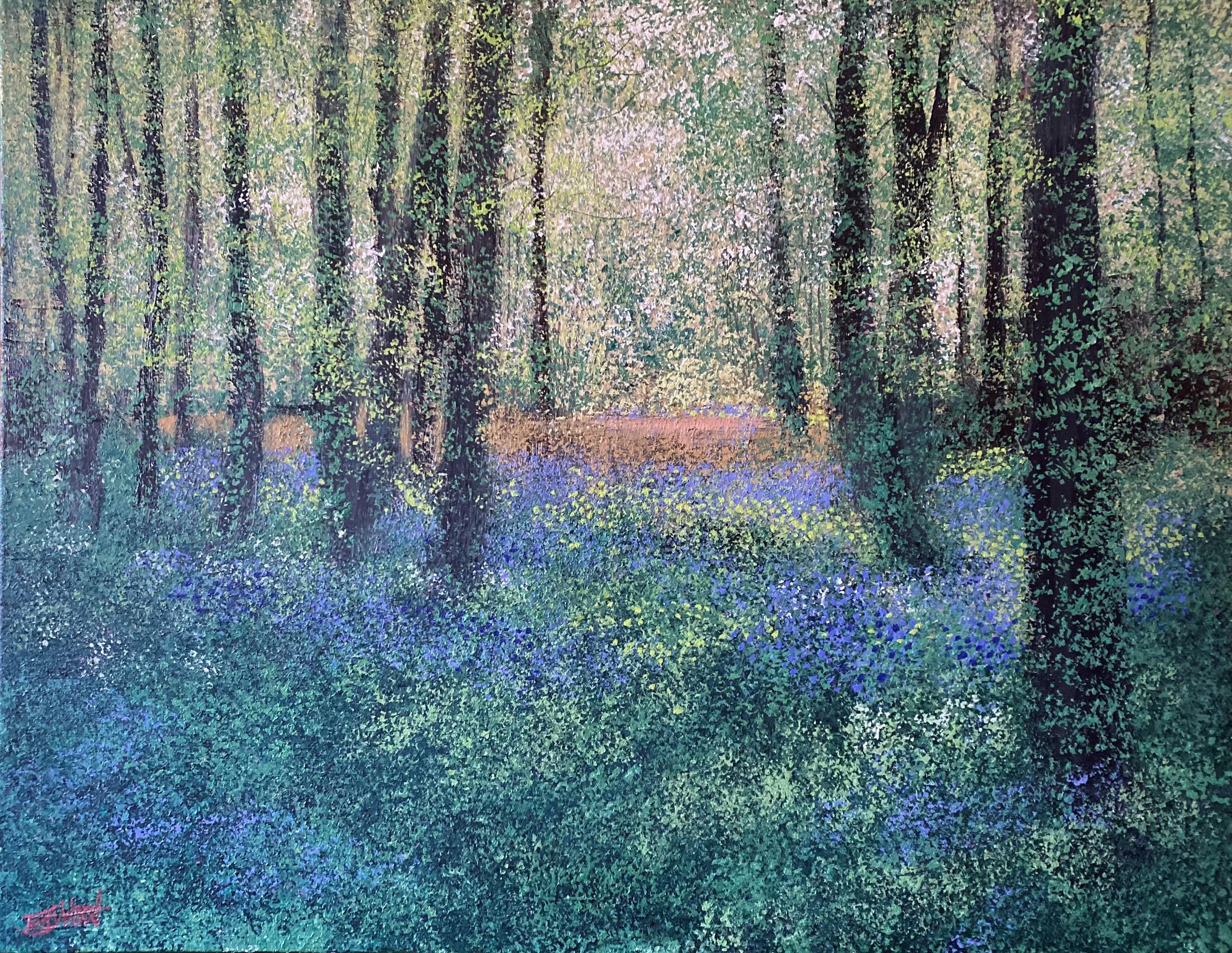 Bluebell Woodland