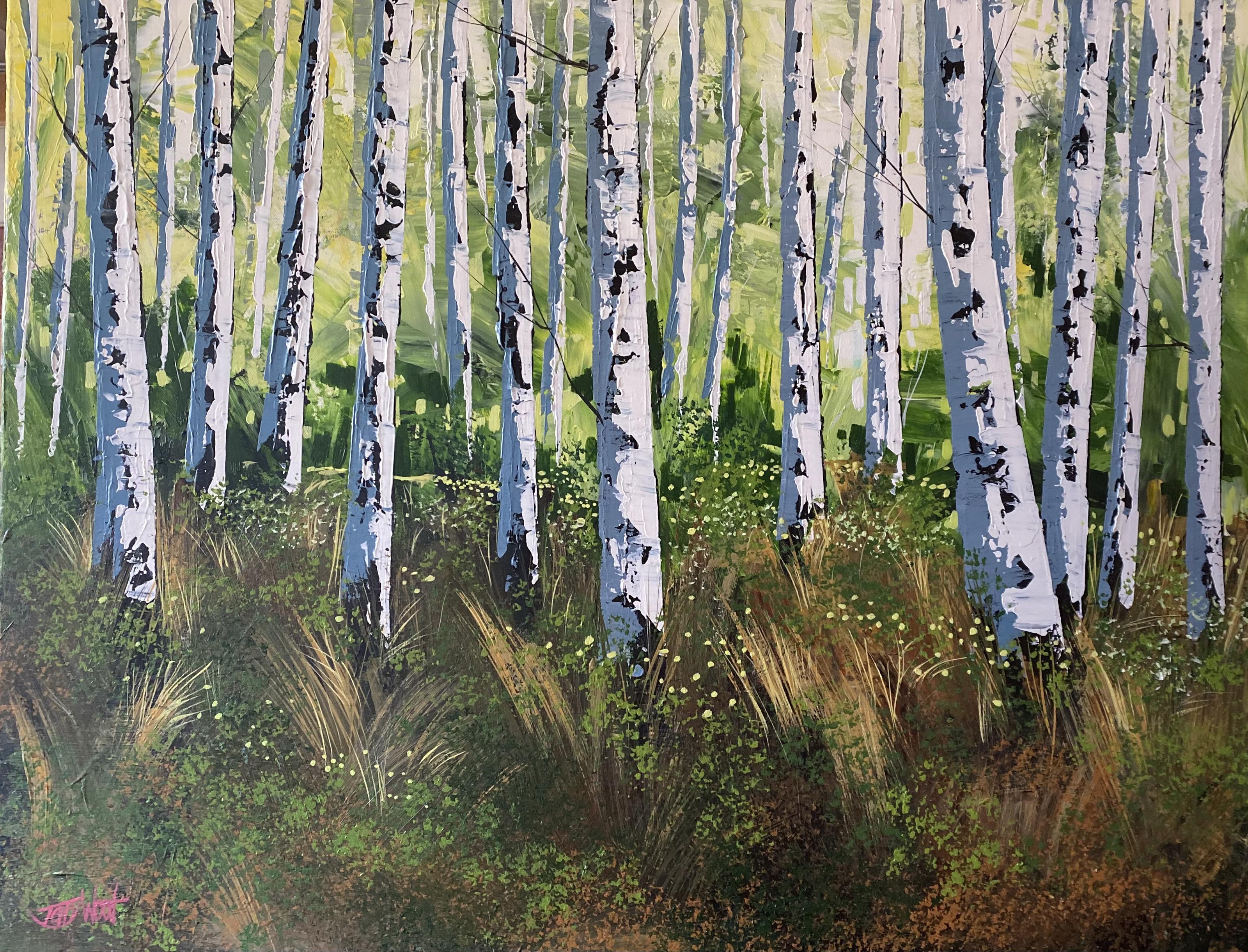 Silverbirch in Montana